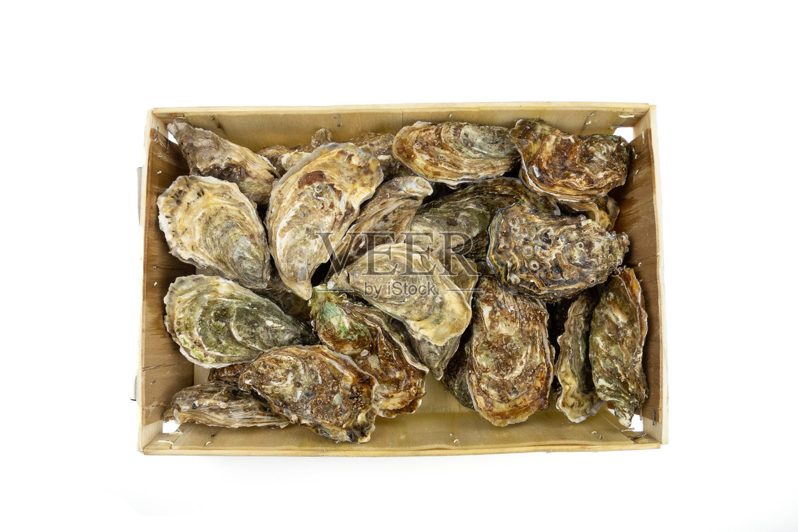 白色背景上的牡蛎袋照片摄影图片