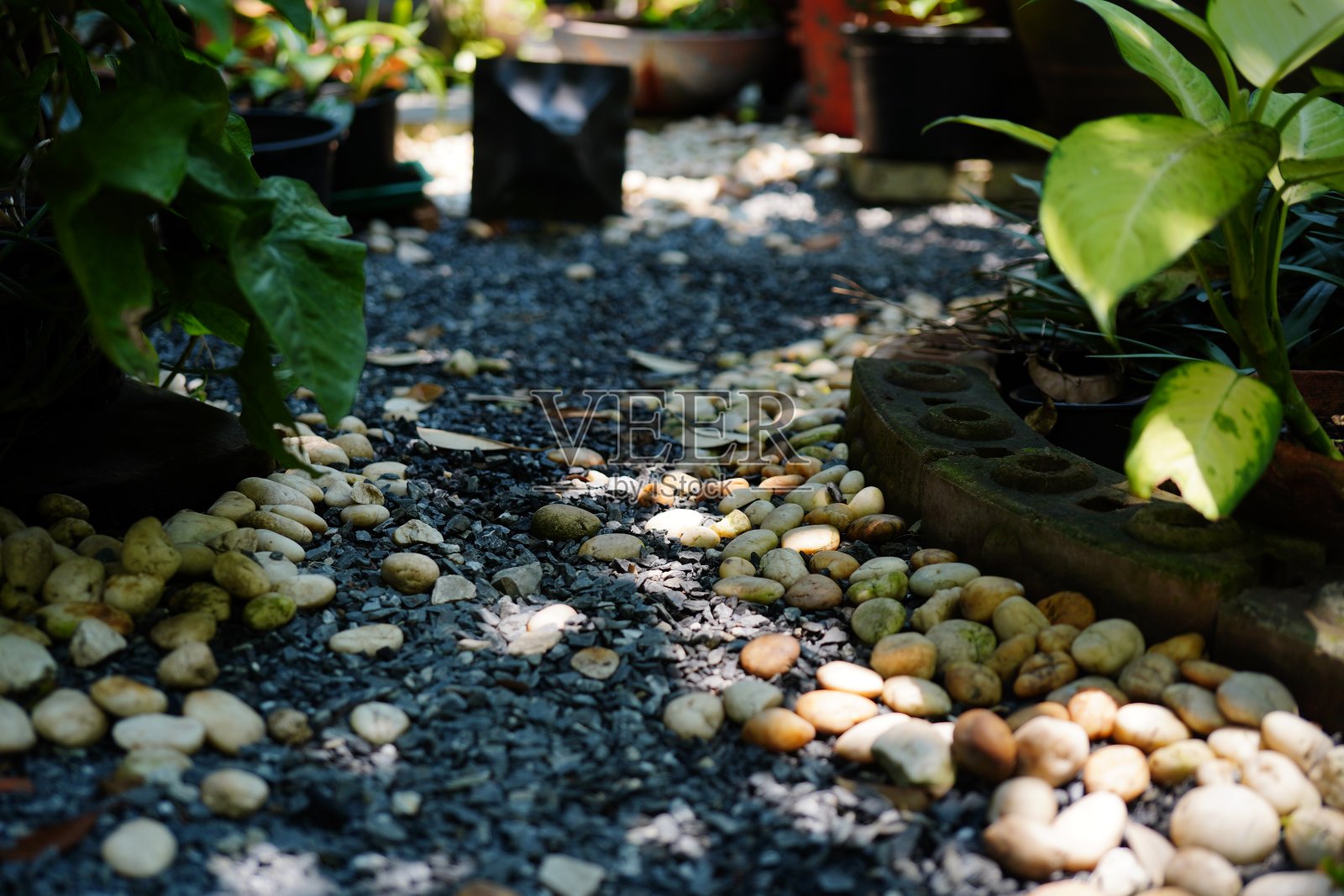 花园里白色的砾石上的石头照片摄影图片