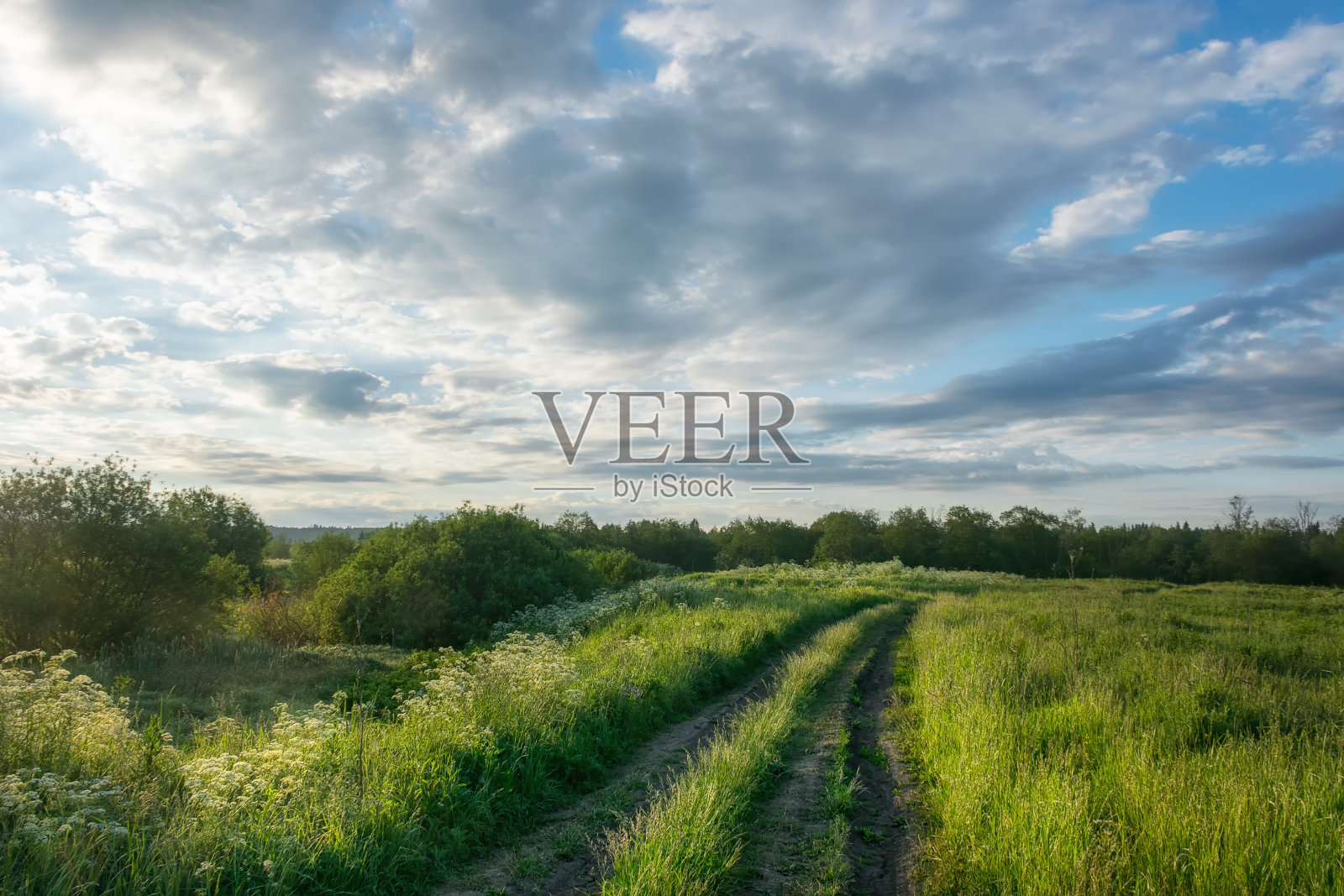 夏日清晨,在一片草地和野花丛中,一条一直延伸到地平线的乡间小路照片摄影图片