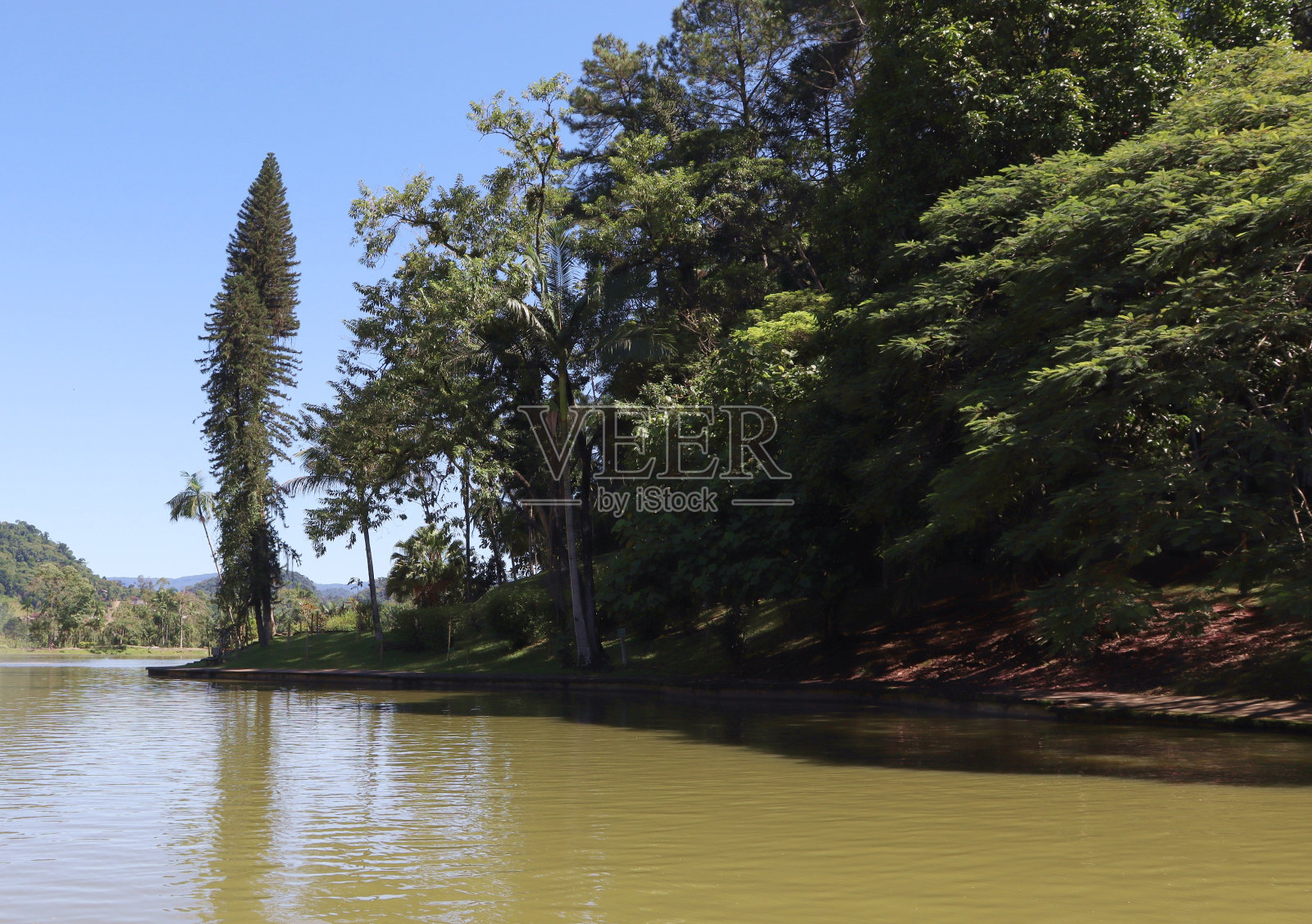 湖和树照片摄影图片