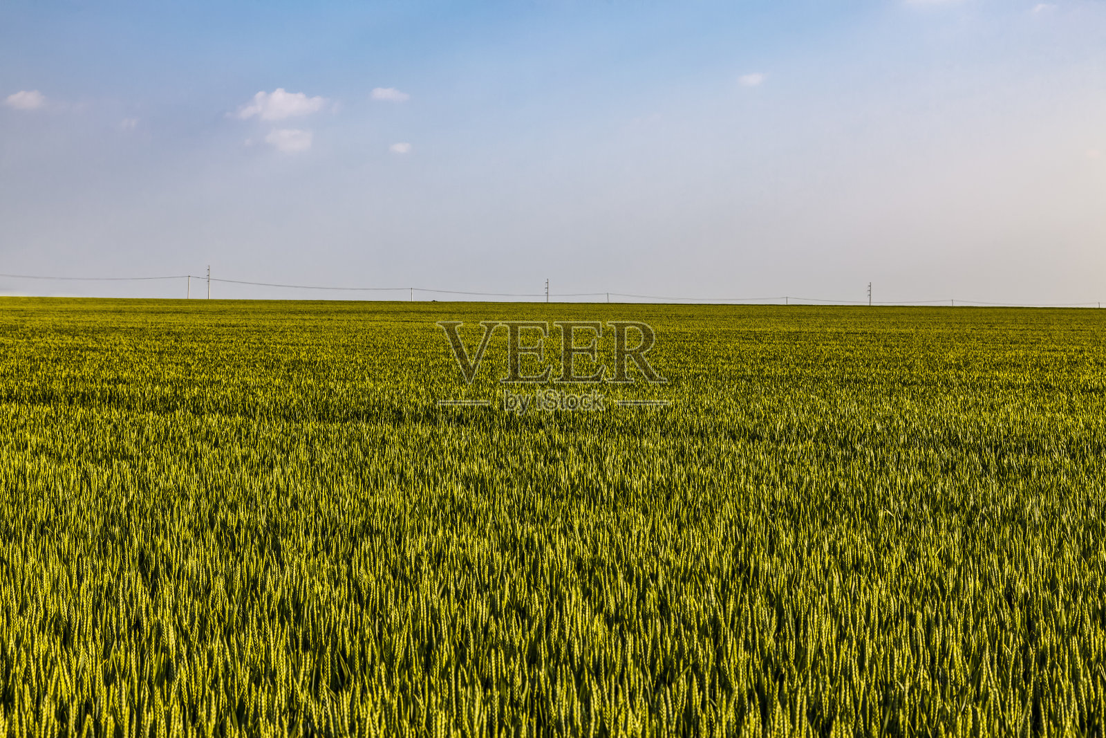 场景观照片摄影图片