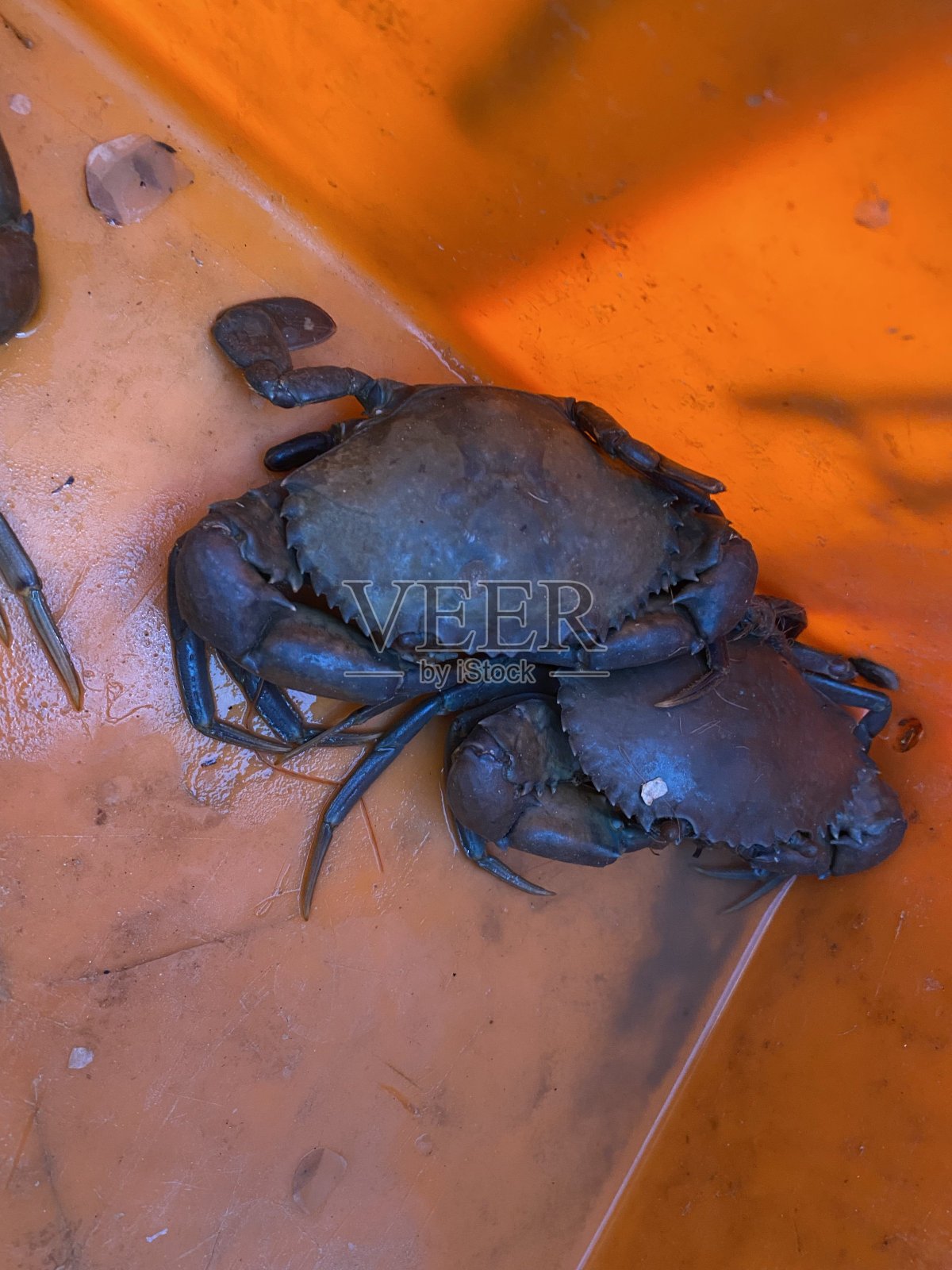 碳水化合物照片摄影图片