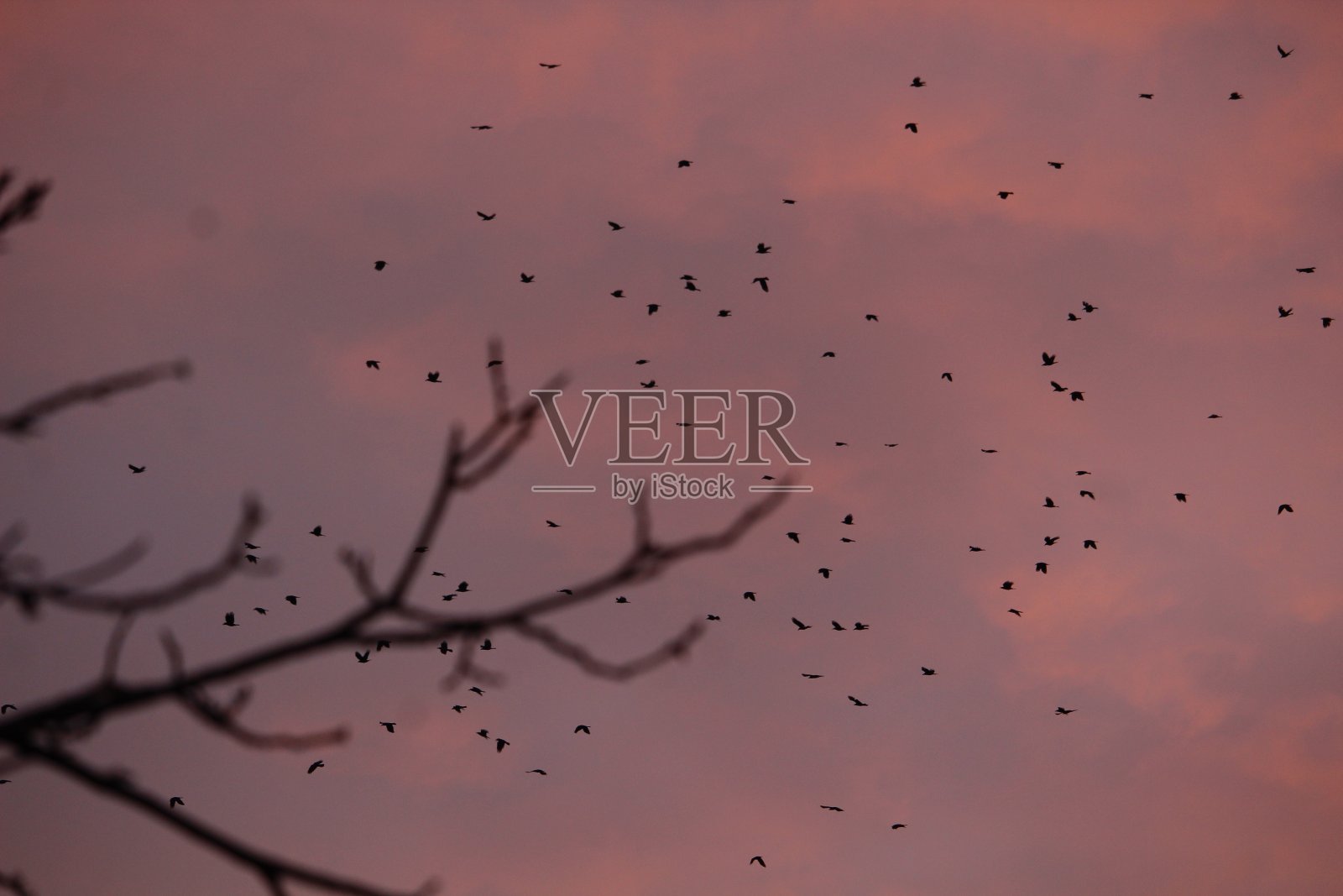 彩色的天空照片摄影图片