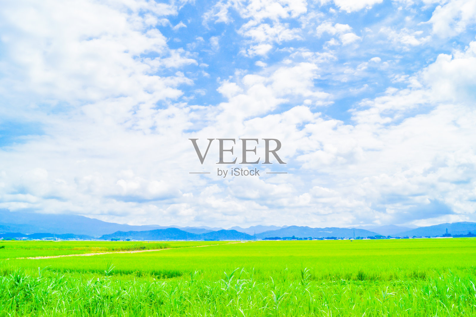 秋田县的乡村景观照片摄影图片