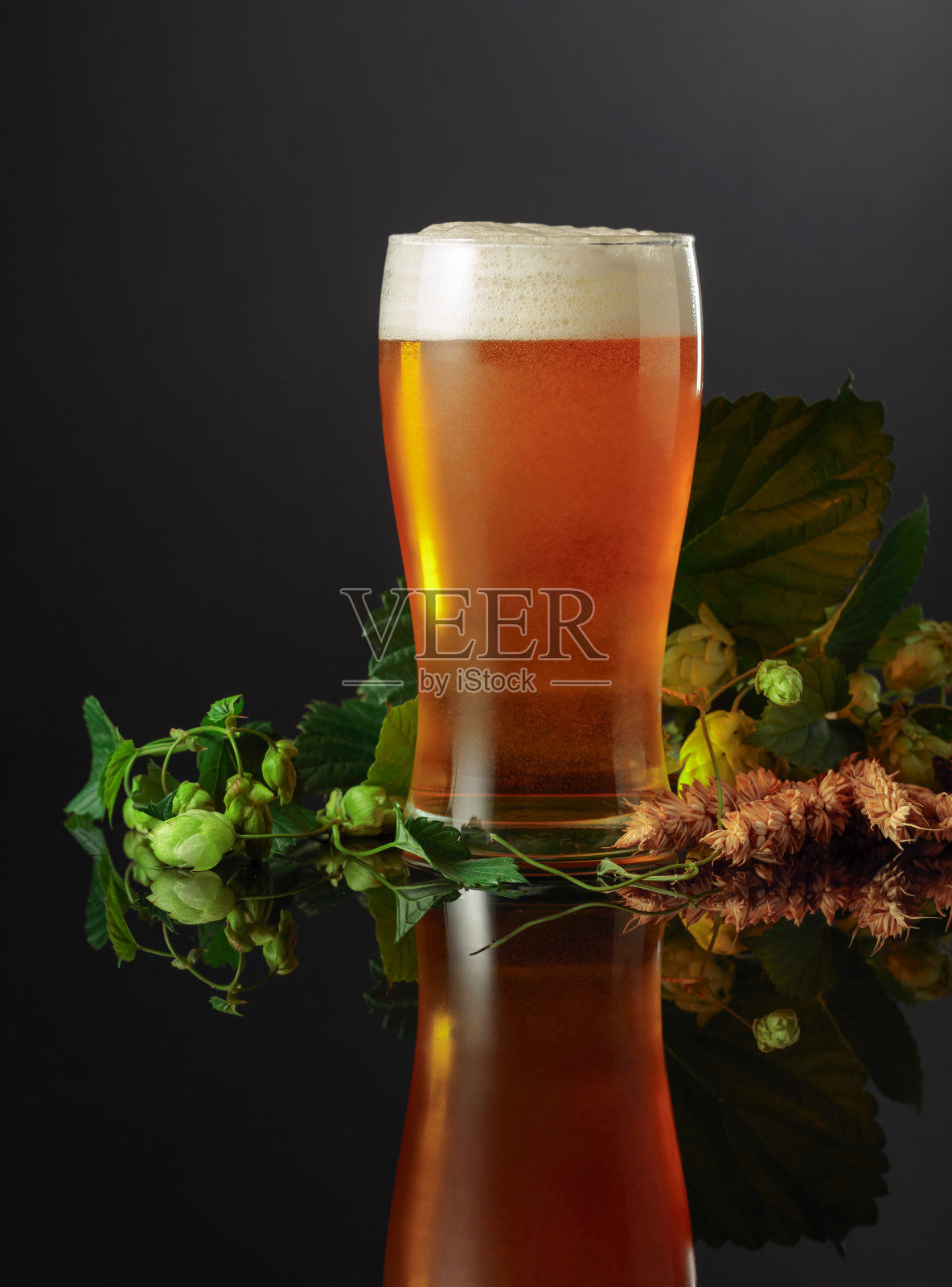 黑色背景上是啤酒,啤酒花和大麦。照片摄影图片