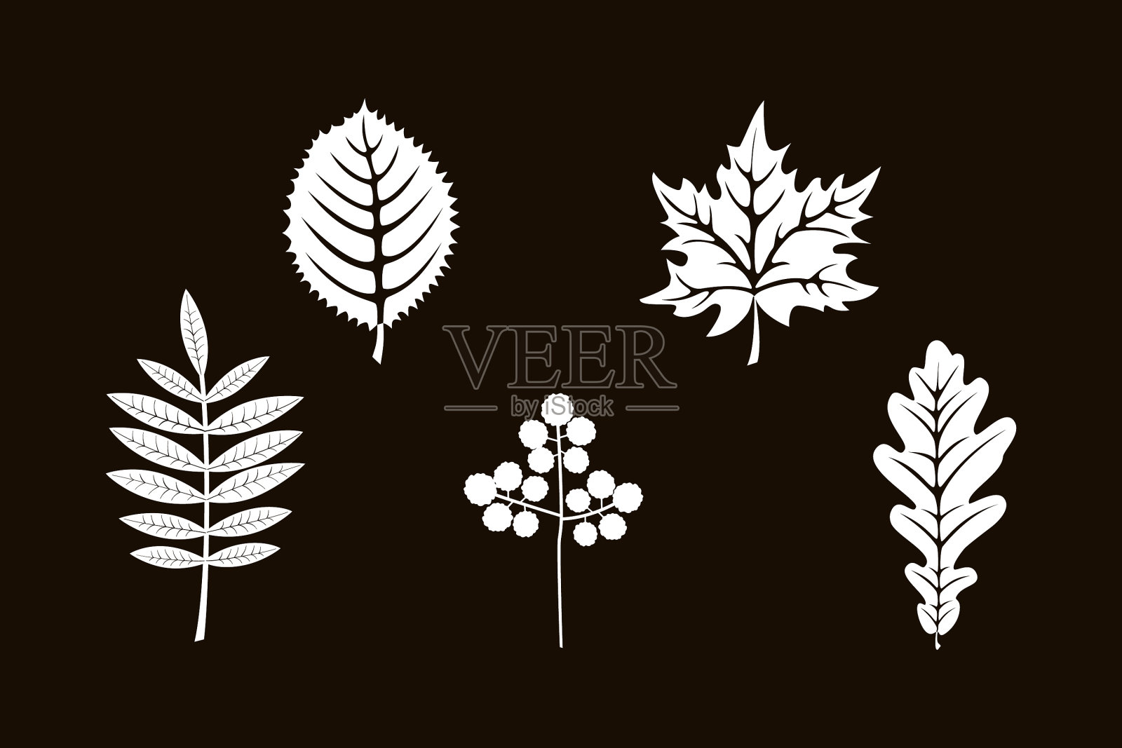 秋叶的剪影孤立在黑色上插画图片素材