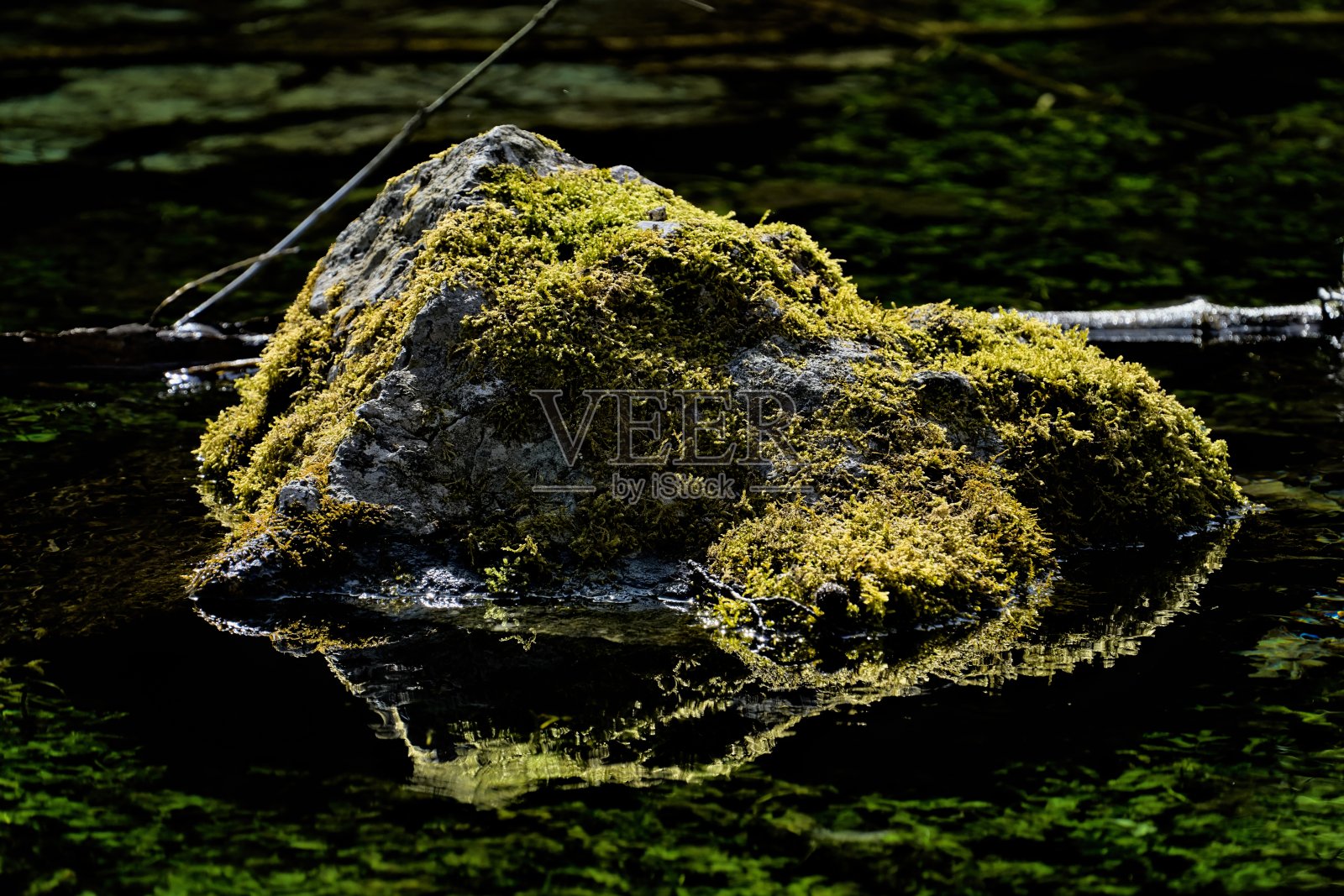 青苔石在春日的激流中倒映着清澈见底的水照片摄影图片