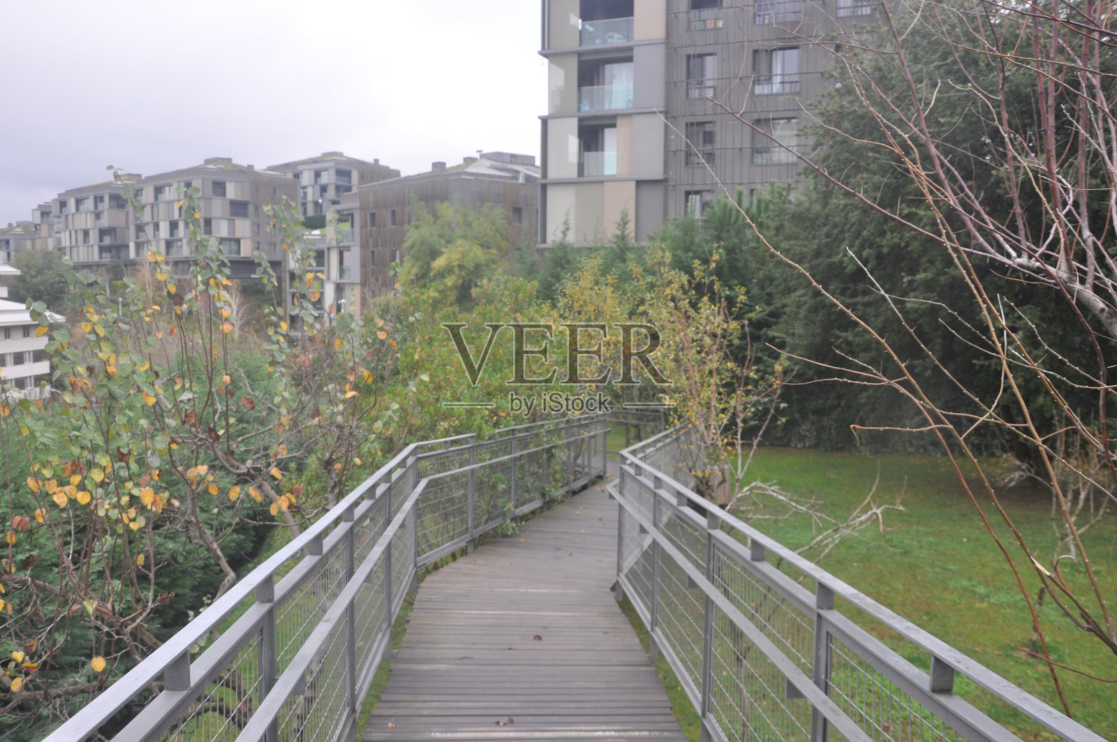 公园里的一条小路照片摄影图片