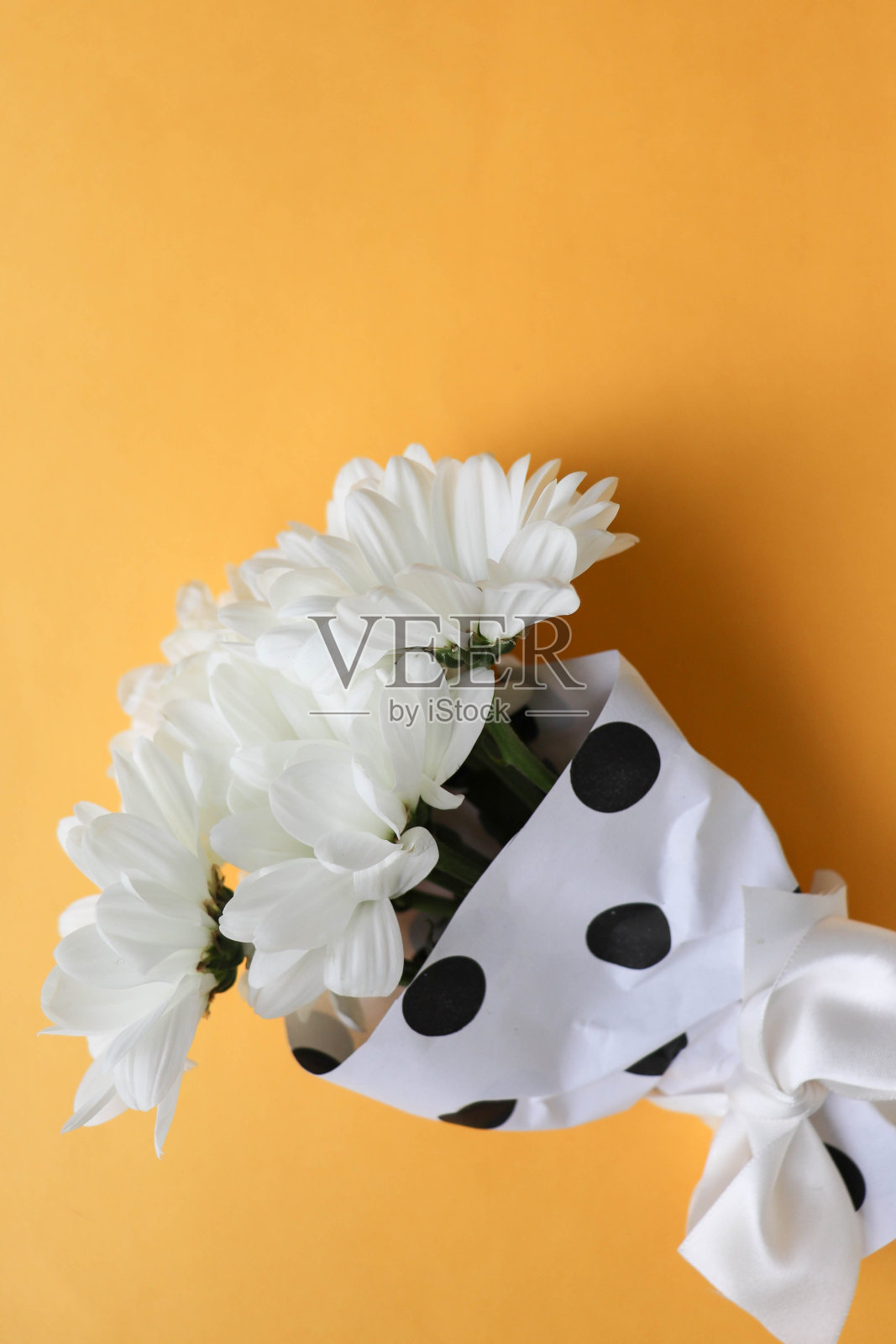 鲜花和礼品盒照片摄影图片