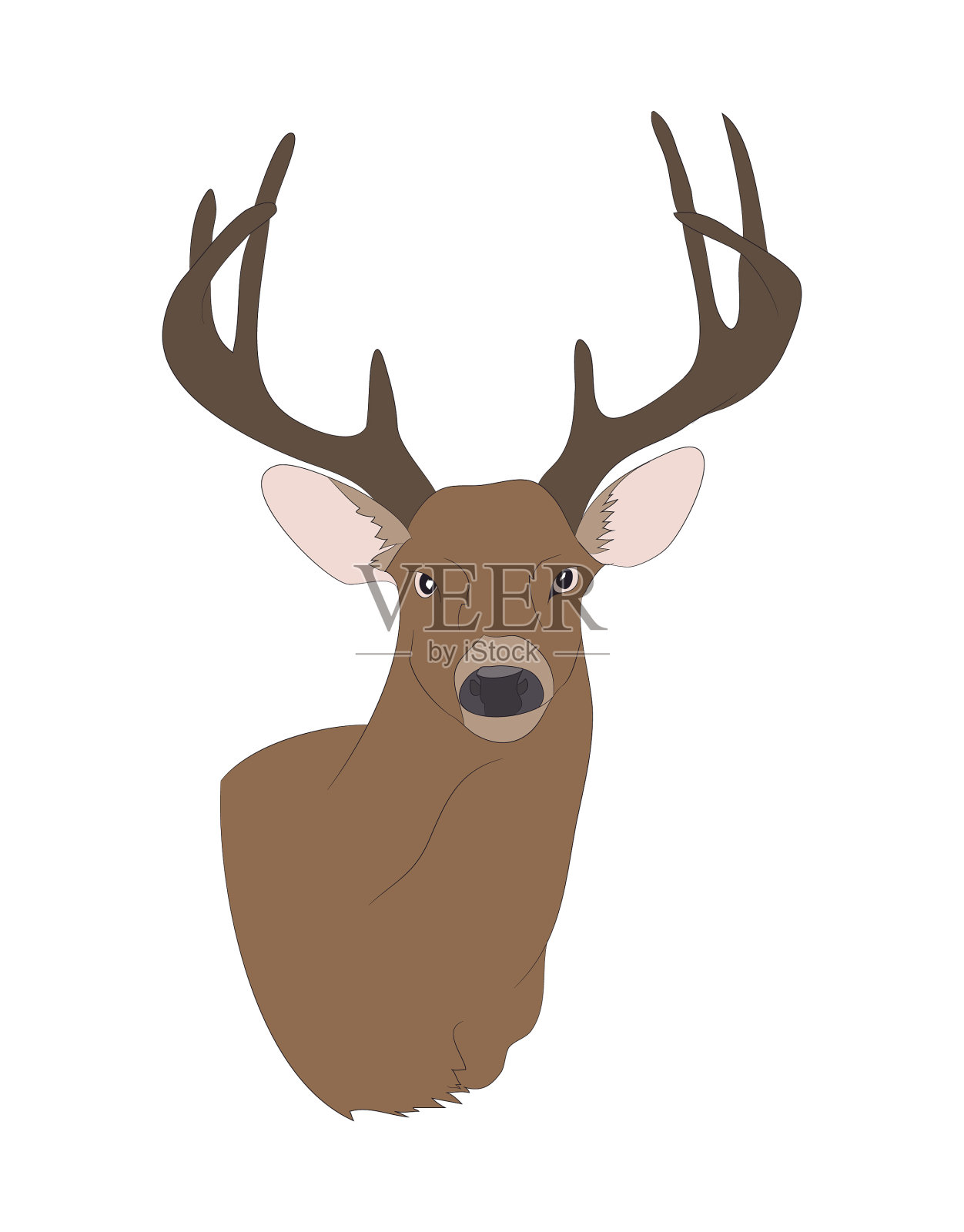 鹿肖像彩绘插画图片素材
