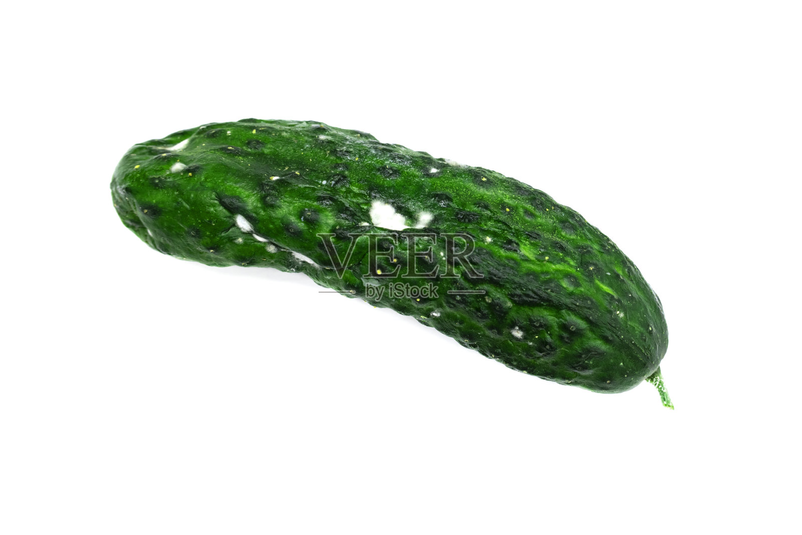 腐烂的黄瓜照片摄影图片