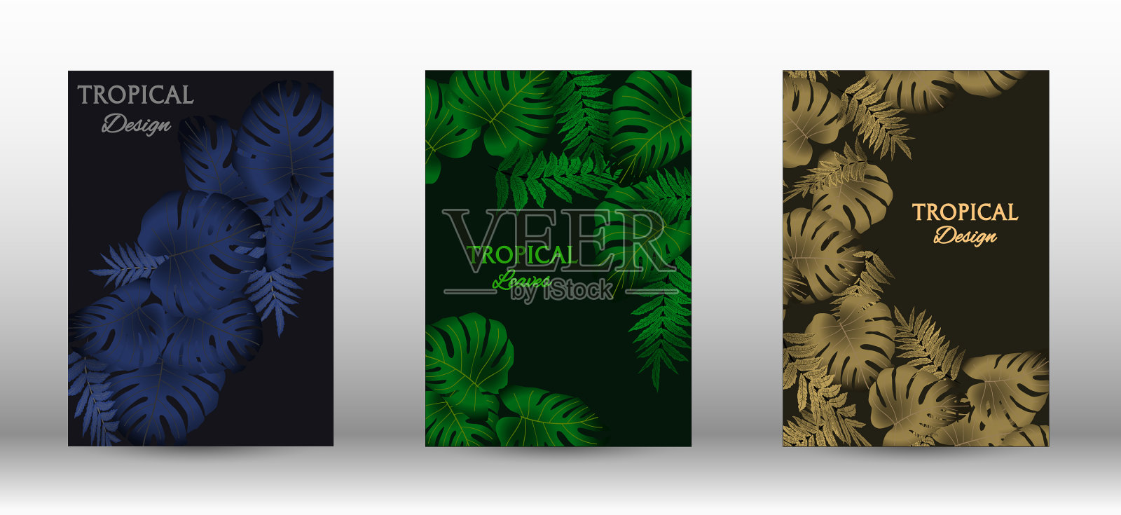 一套热带插画图片素材