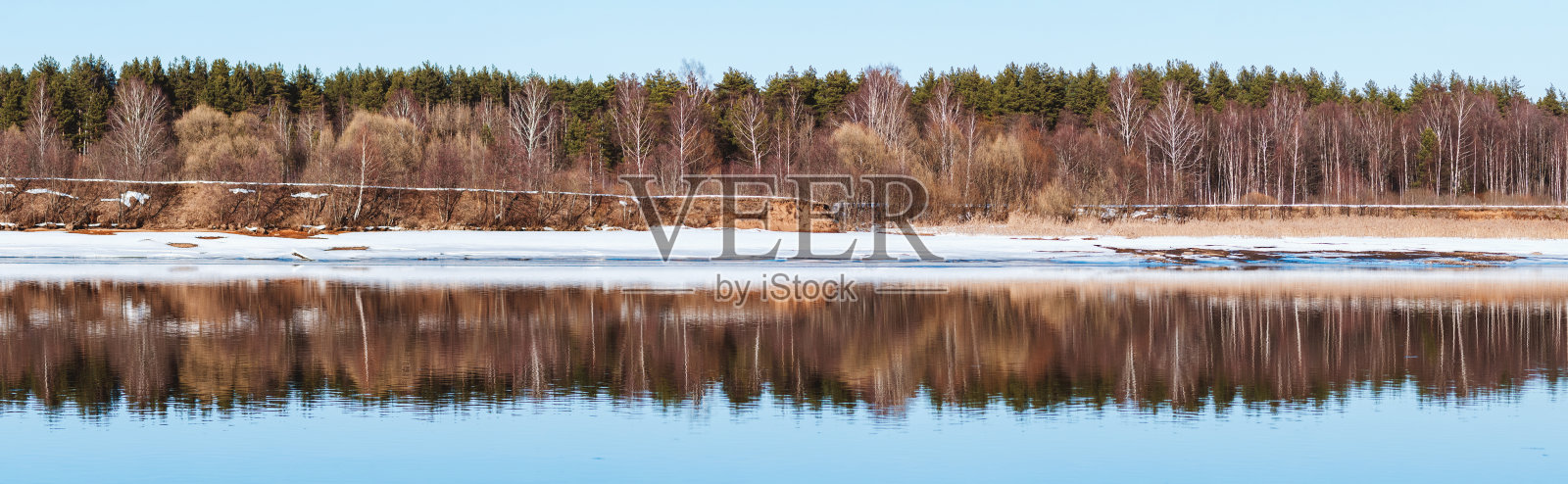 河流全景在早春,森林倒影在蔚蓝的水中,春天的自然景观,宽旗大小照片摄影图片