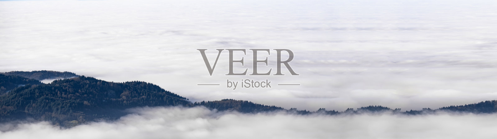 雾海-惊人的神秘上升雾森林树木景观在黑森林(施瓦茨瓦尔德)德国全景横幅。-黑暗的心情照片摄影图片