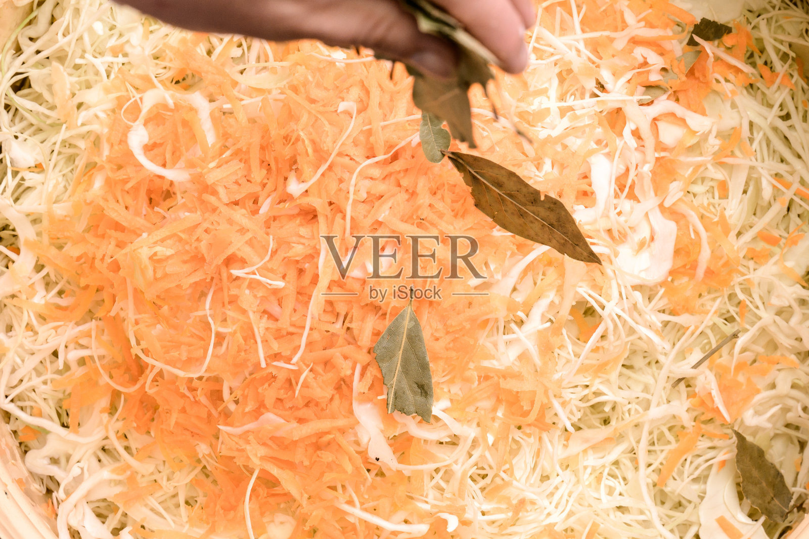 月桂叶作为德国泡菜的主要香料,切碎的卷心菜和胡萝卜,在家里做德国泡菜。照片摄影图片