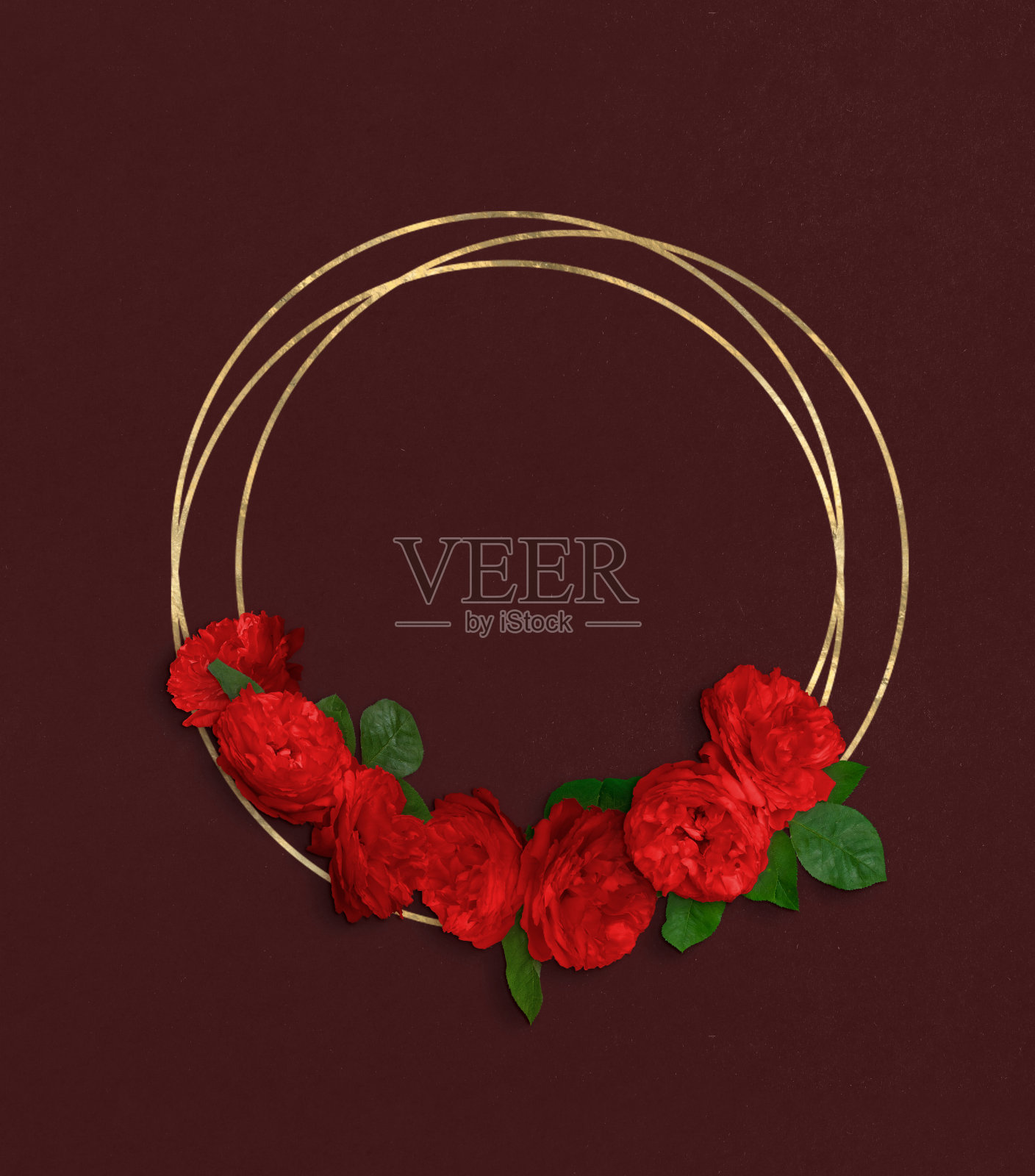 春天的花朵照片摄影图片