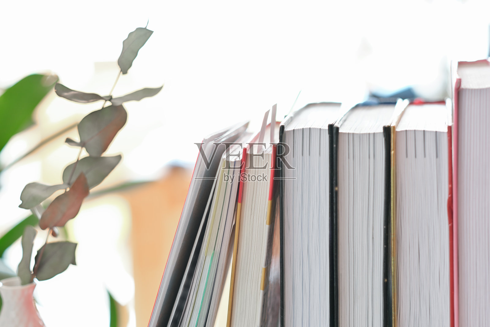 近距离看一排书和绿色植物。家庭图书馆,纸质书照片摄影图片