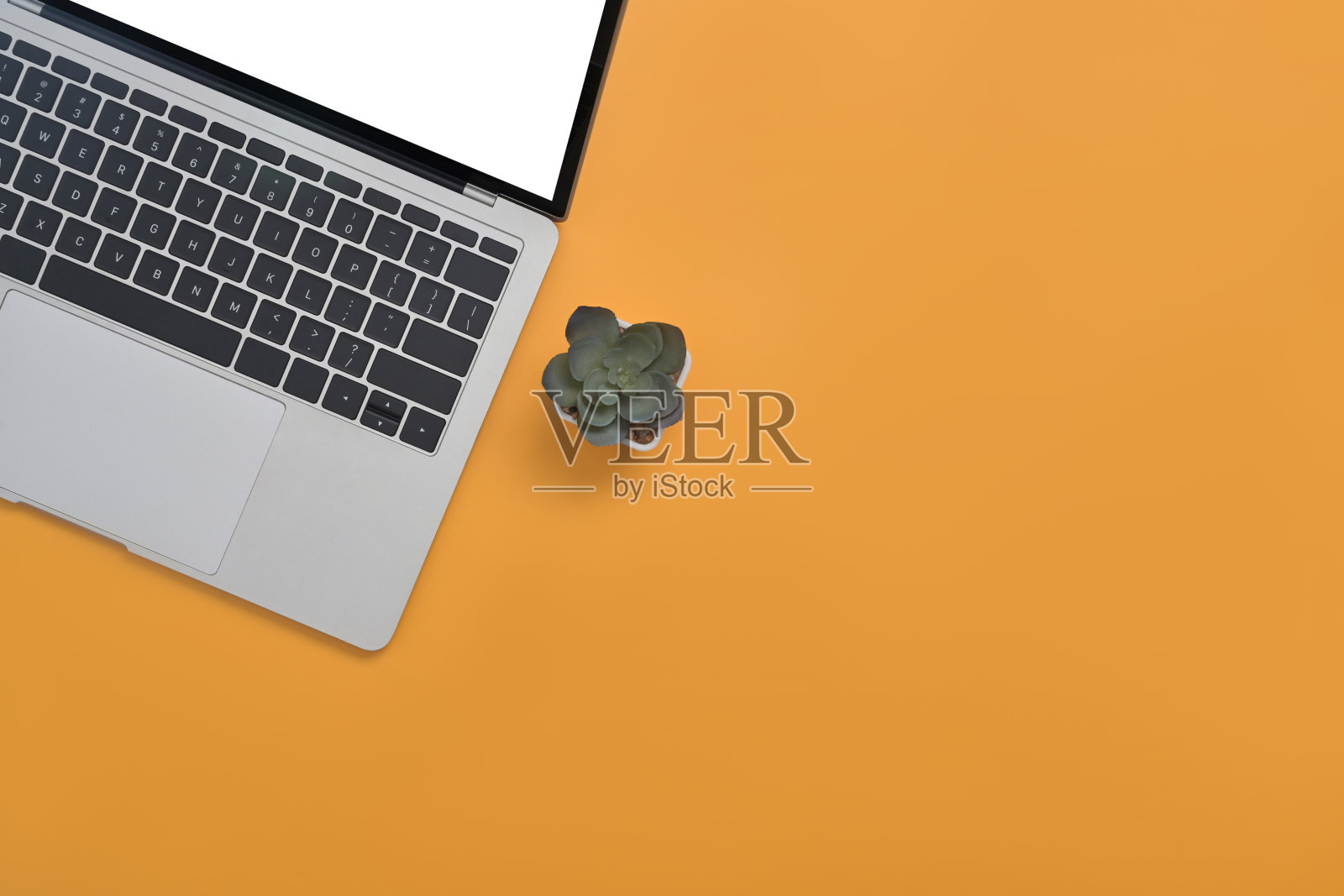 笔记本电脑和肉质植物在黄色背景与广告文本拷贝空间。照片摄影图片