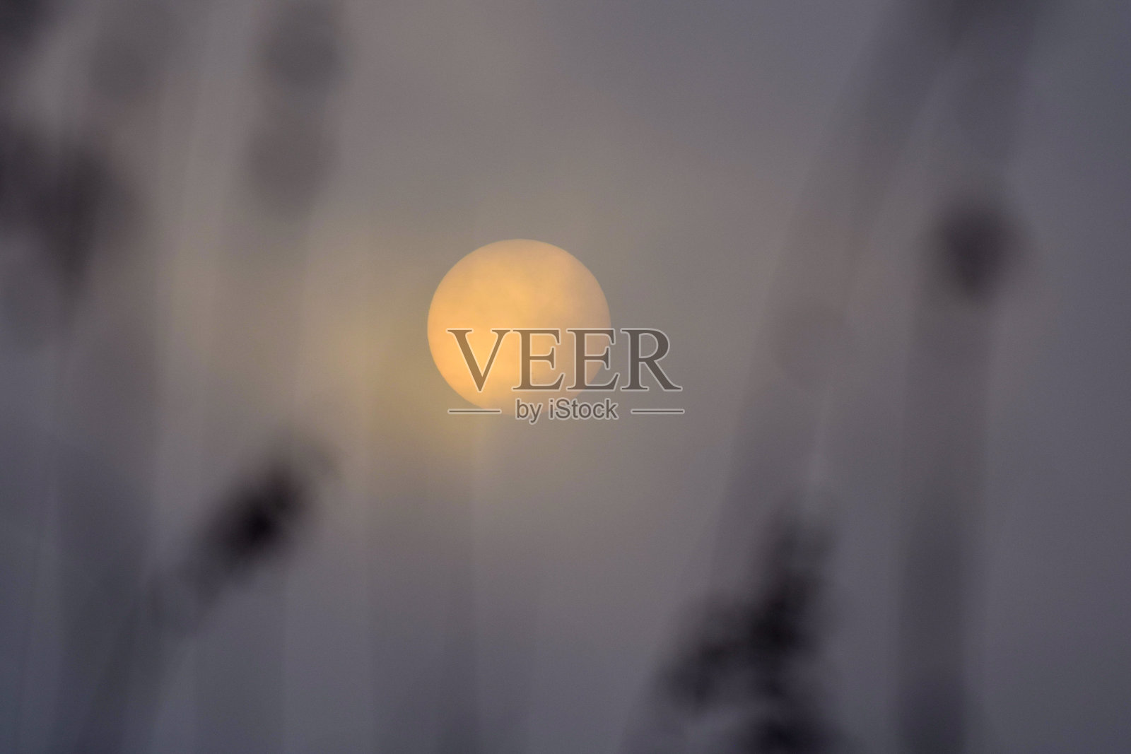 海滩/ ocean Beach日落大道照片摄影图片