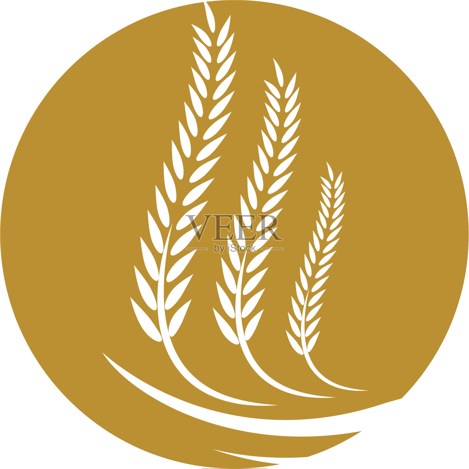 小麦图标设计图标素材