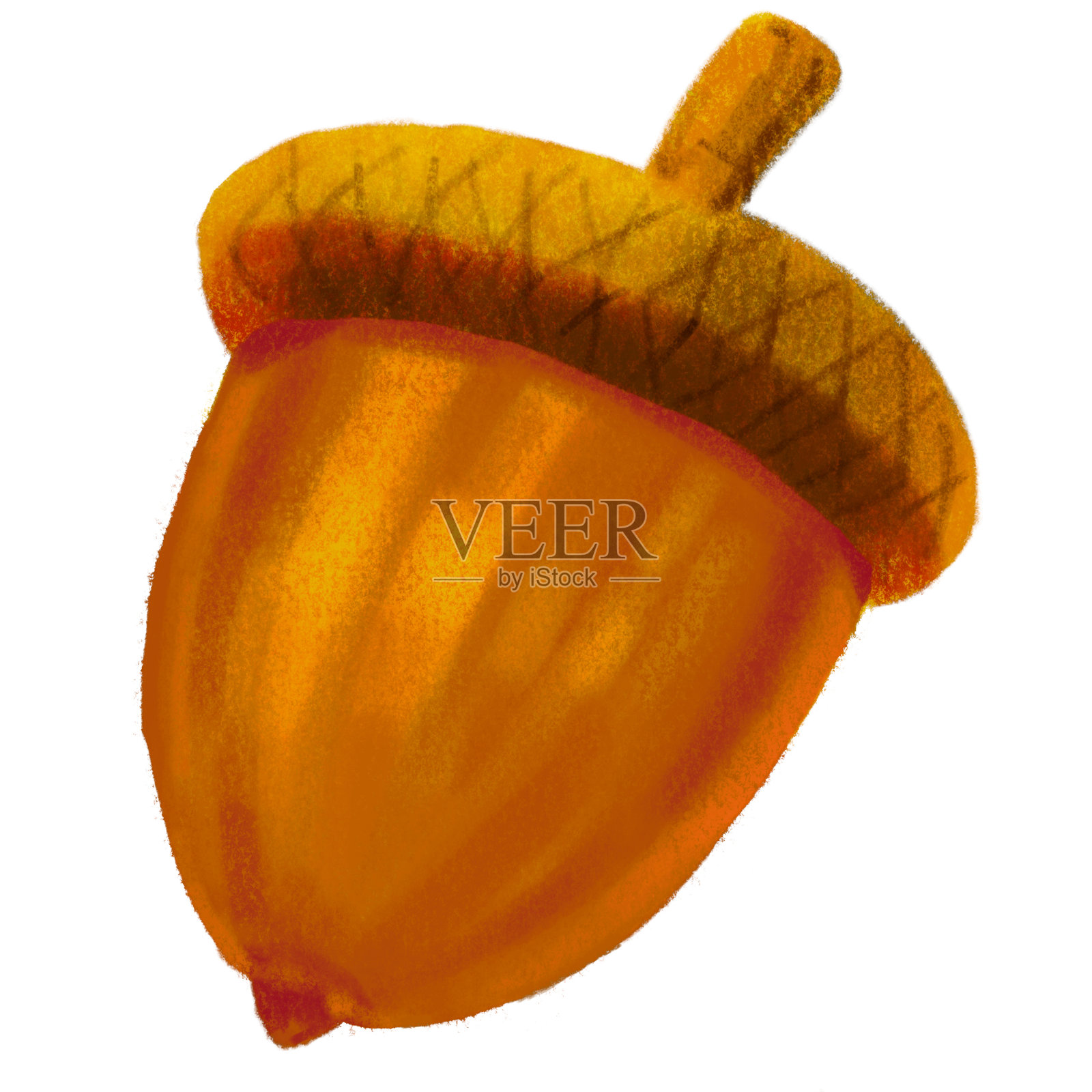 秋季橡树果秋季自然装饰元素手绘插图设计元素图片