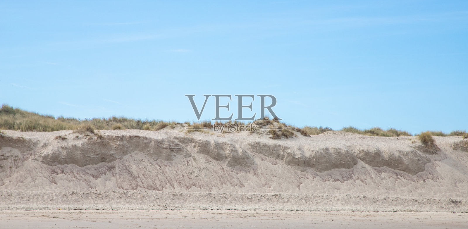 荷兰北海海岸的沙丘照片摄影图片