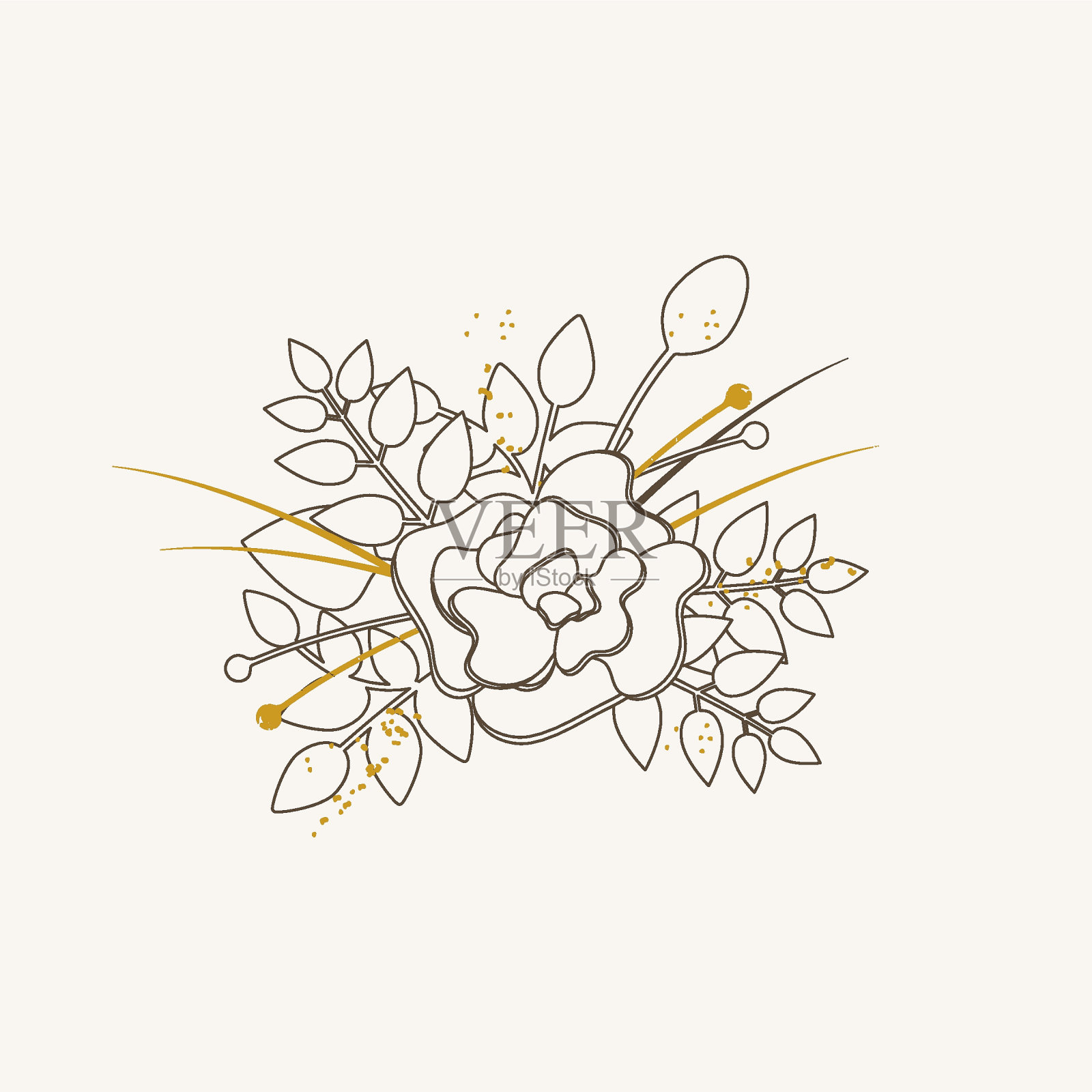 植物的植物学。画带叶子的玫瑰花。黑白雅致的线条艺术植物插图。白色背景上的向量插画图片素材