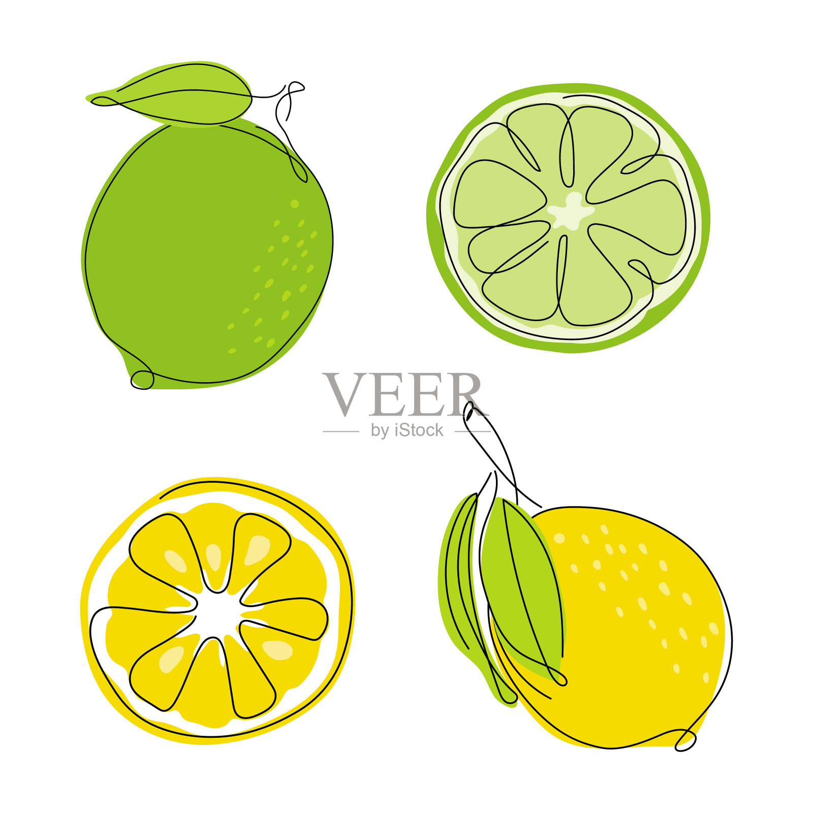 一组柠檬,酸橙,片柑橘元素水果。矢量插图收集热带异国食物。插画图片素材