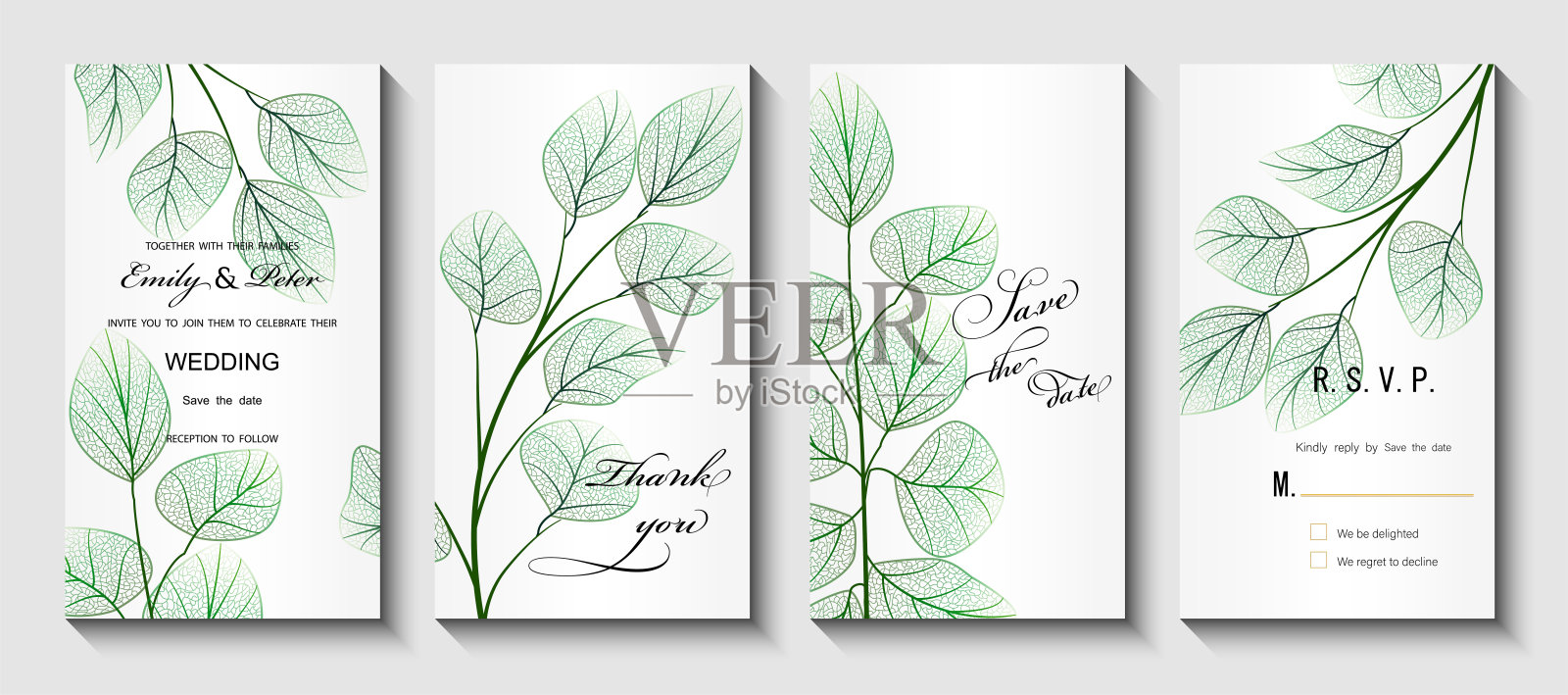 请柬上有树叶桉树,孤立上有白色。插画图片素材