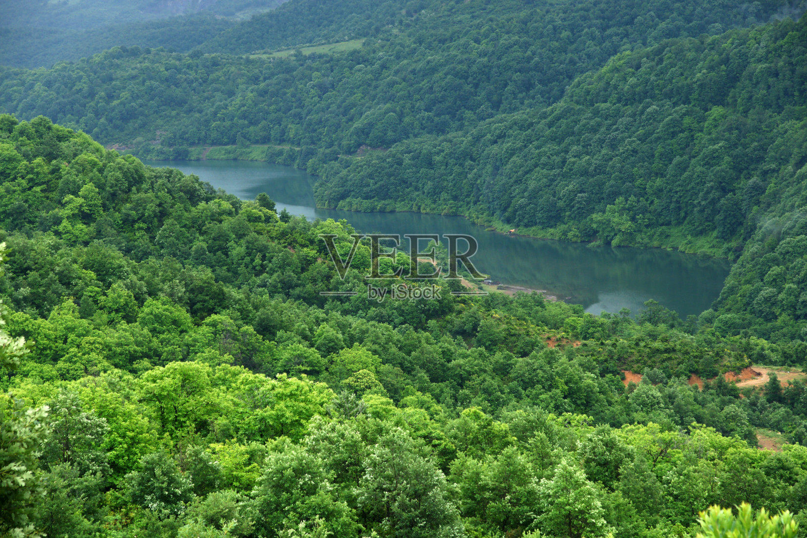 自然生活照片摄影图片