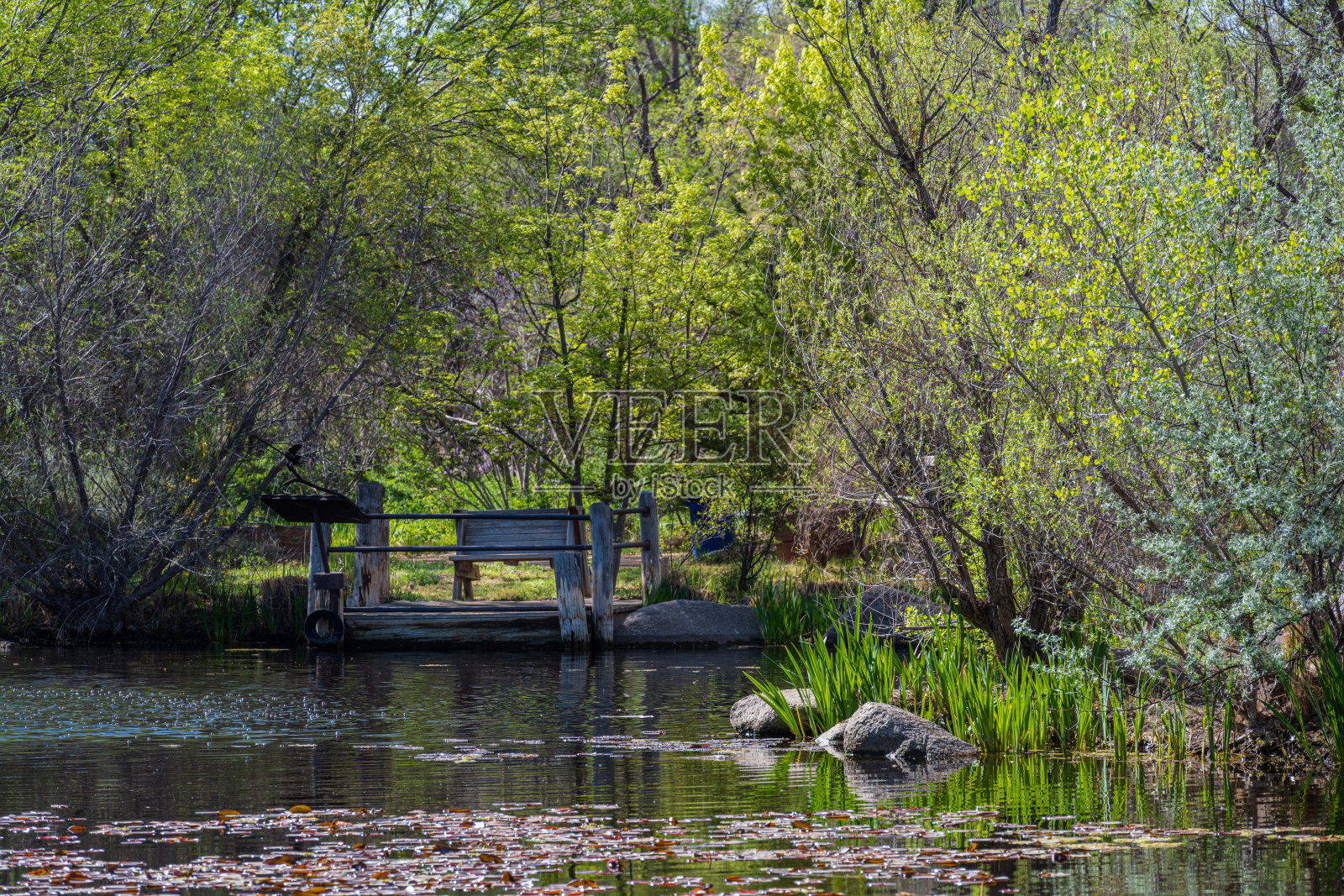 湖边的公园长凳照片摄影图片