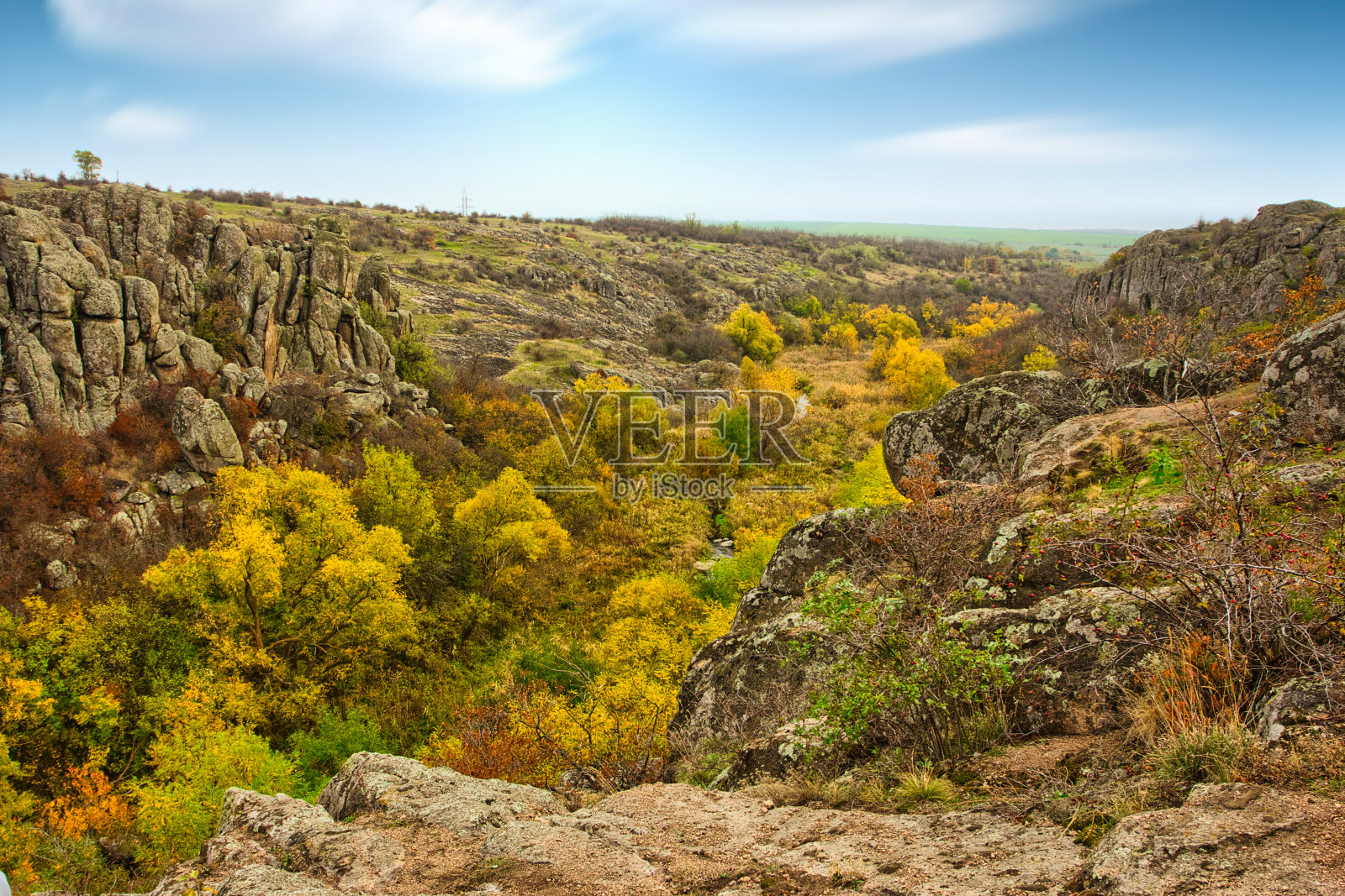 在风景如画的乌克兰和它美丽的自然环境中,一条小河上覆盖着大量绿色植被的石矿照片摄影图片
