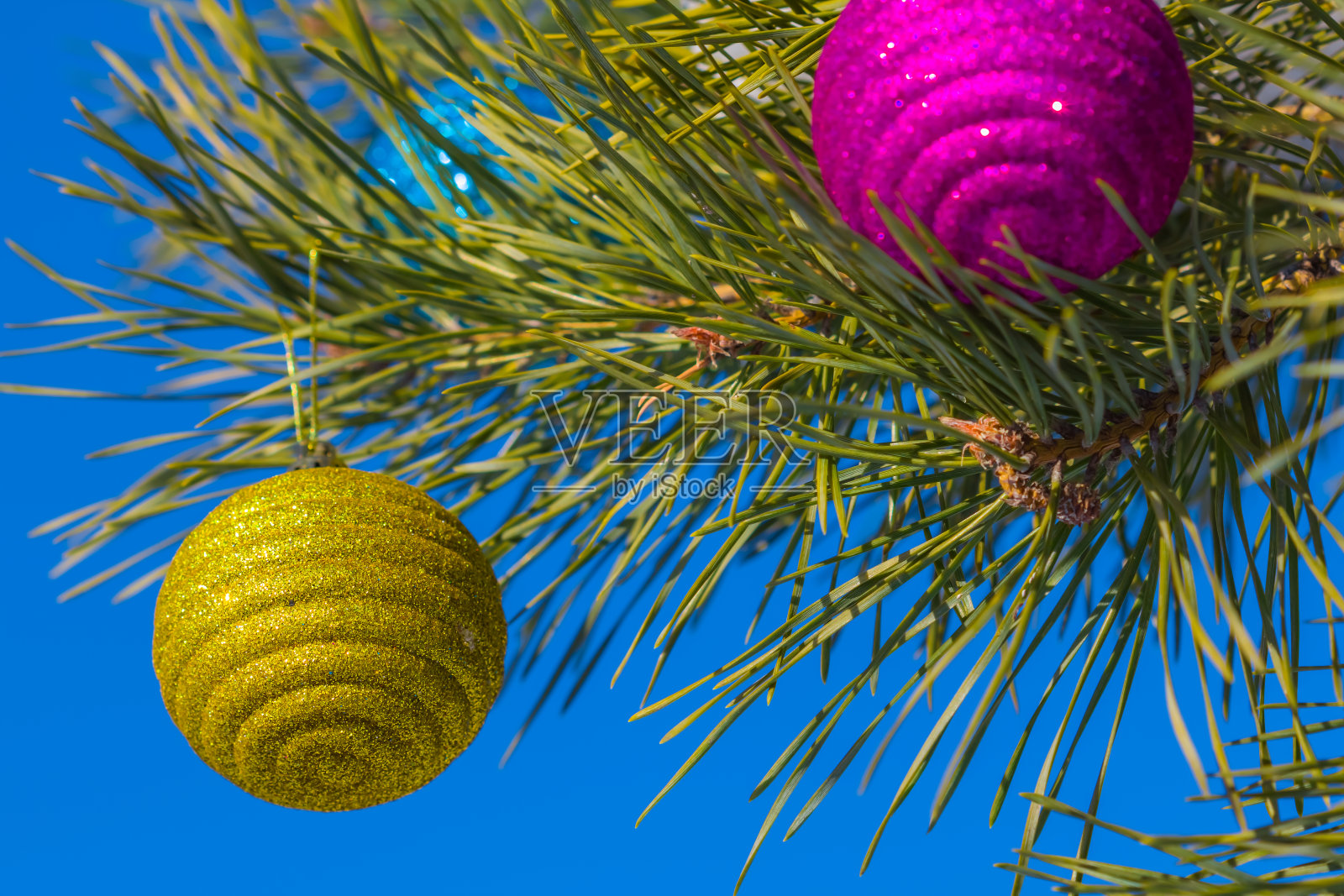 特写装饰冷杉树照片摄影图片