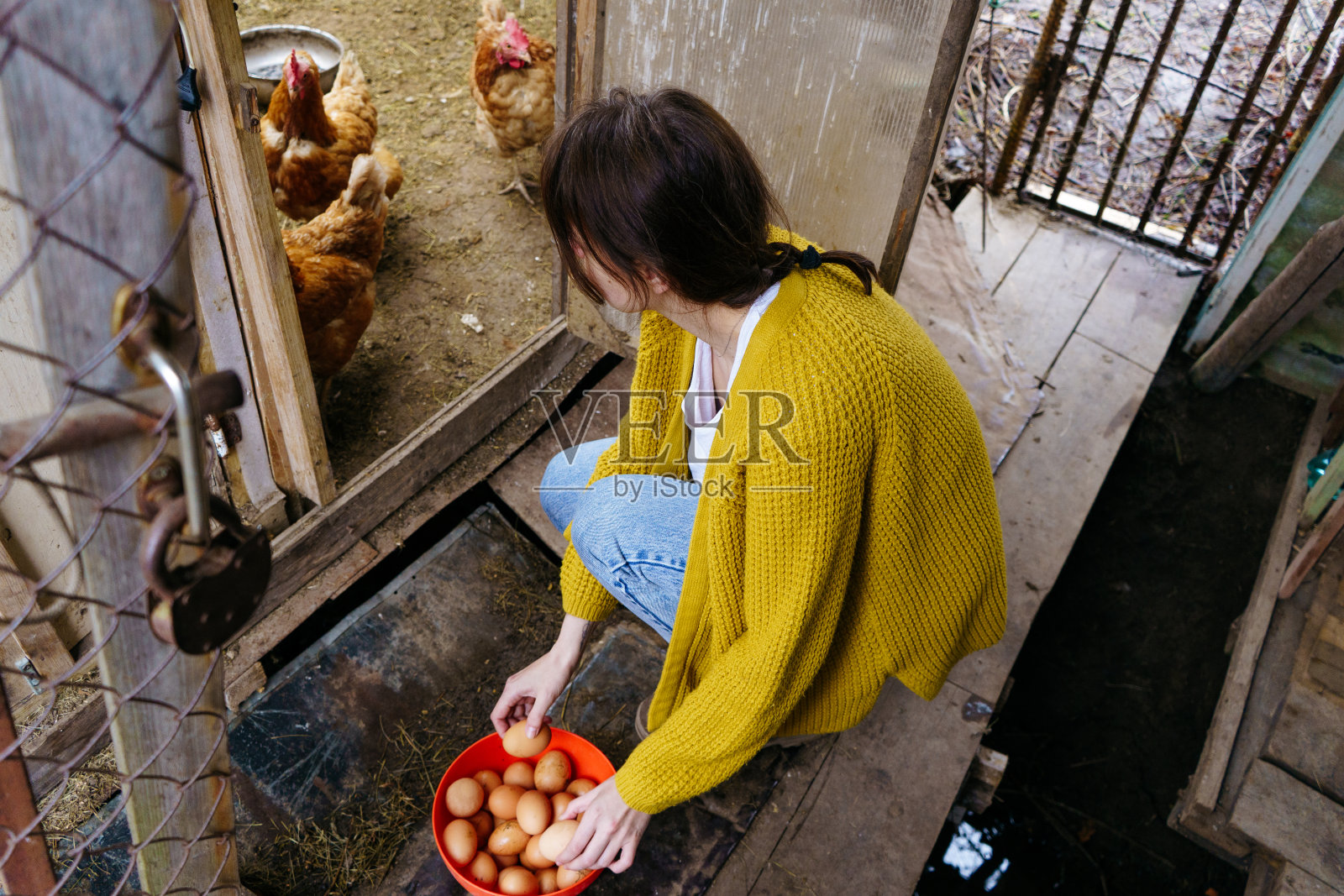 一个年轻的女人在鸡笼里收集鸡蛋照片摄影图片