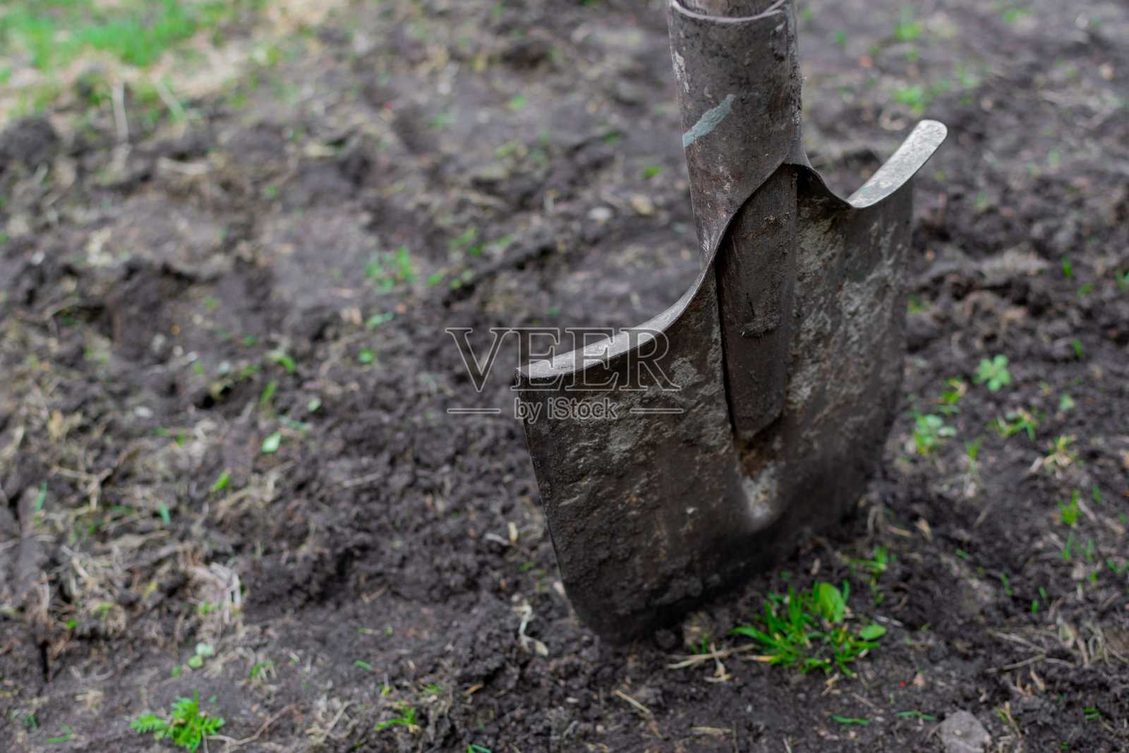 位于黑土中的农业工具:铲子照片摄影图片