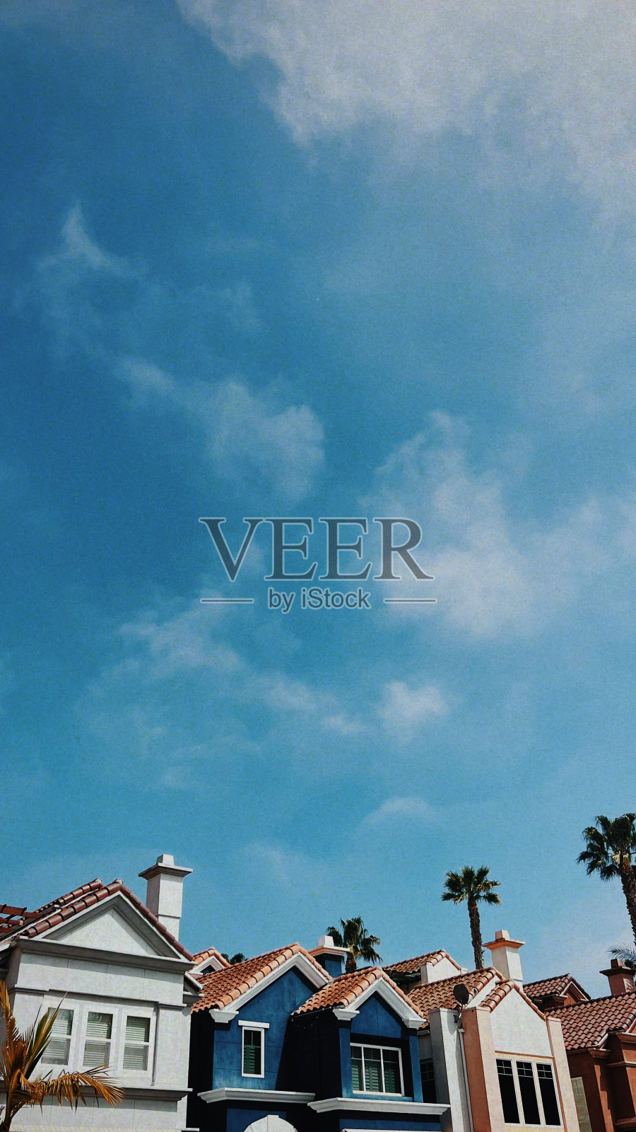 海滩上的女士们照片摄影图片