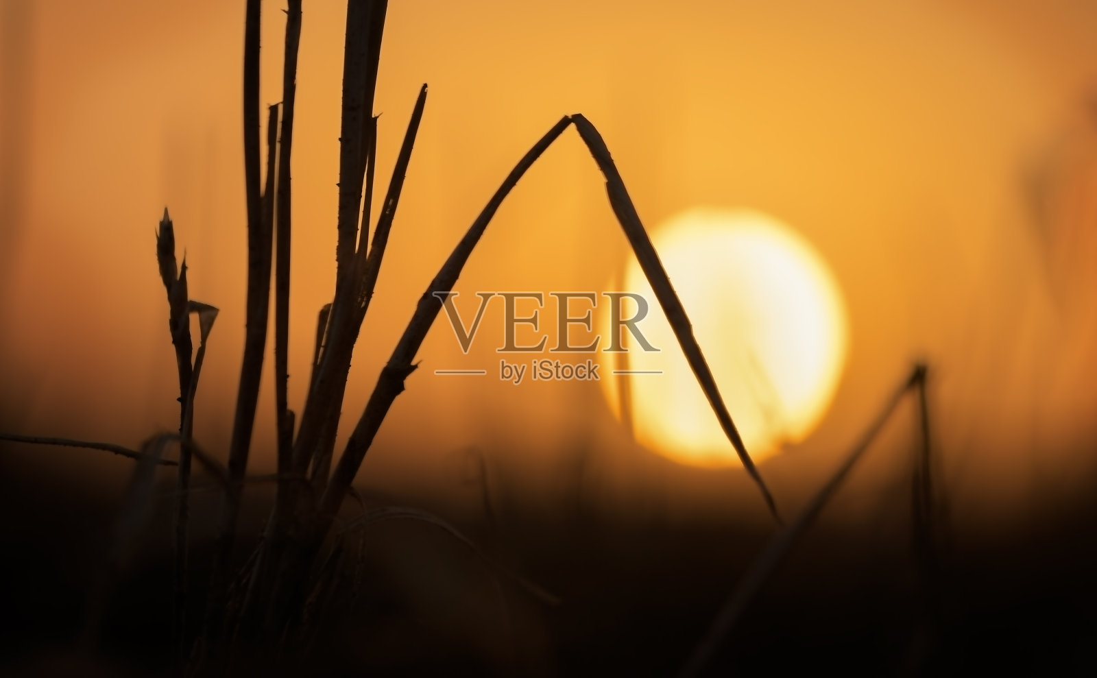 日出照片摄影图片