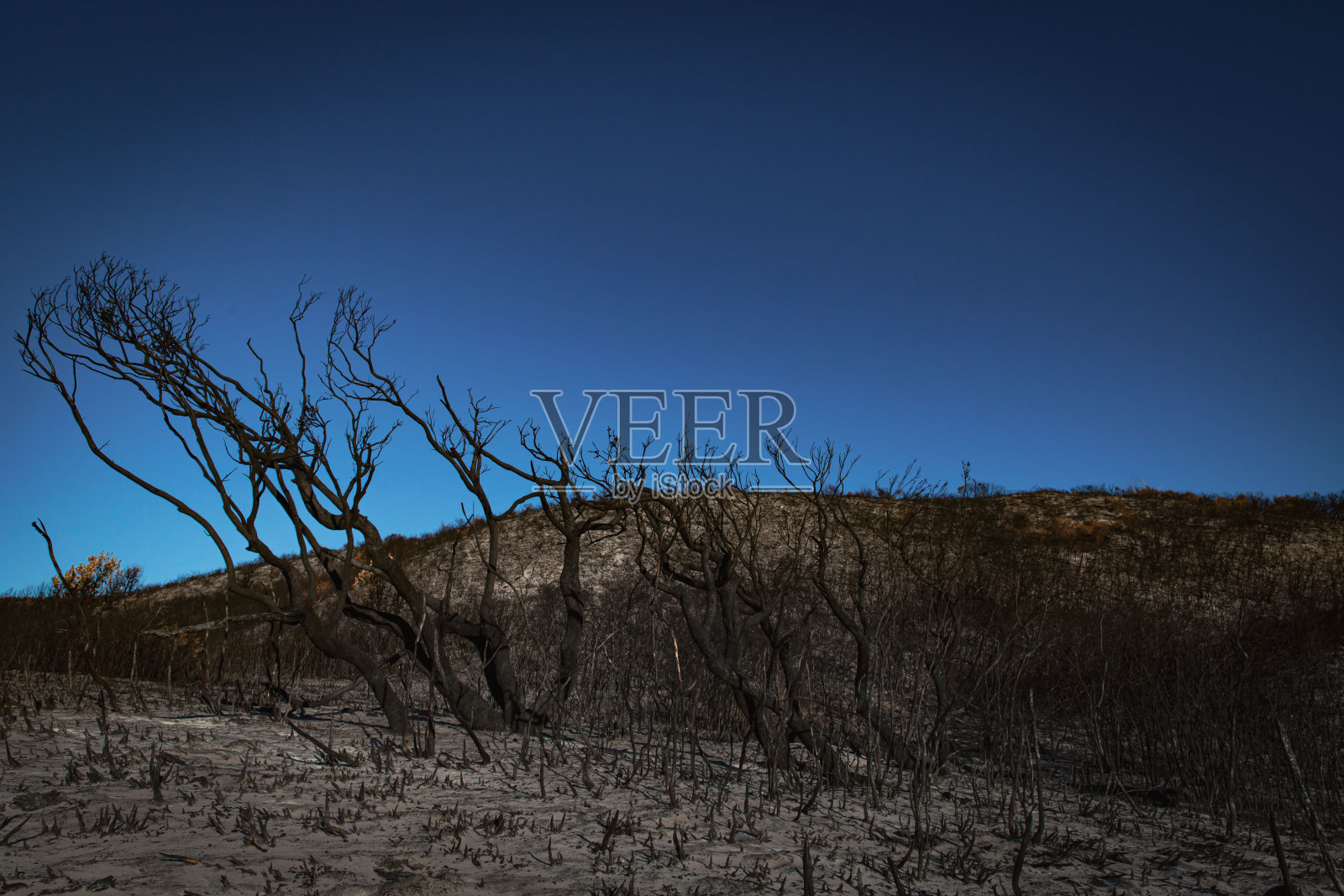 澳大利亚的丛林大火伴随着黑暗的沙尘照片摄影图片