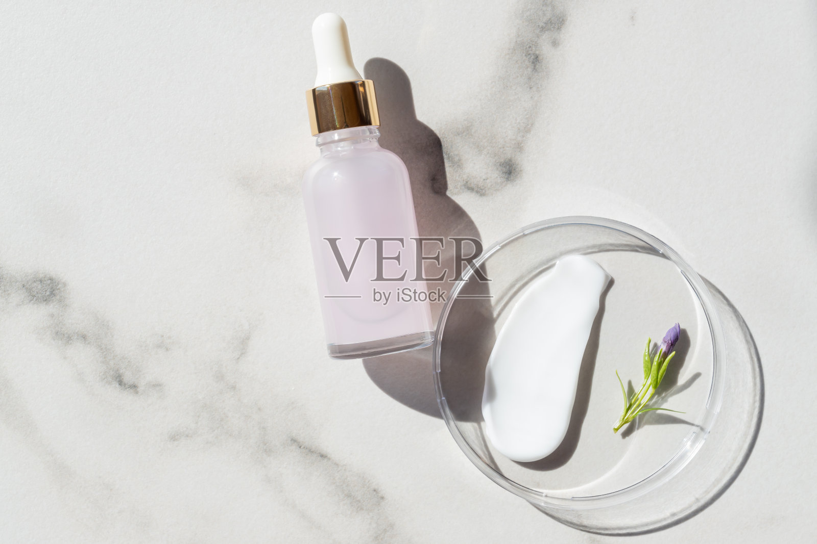 玻璃培养皿,涂面霜,用滴管滴入视黄醇或维生素C血清,精油和草药提取物。化妆品和绿色植物。皮肤科学化妆品实验室照片摄影图片