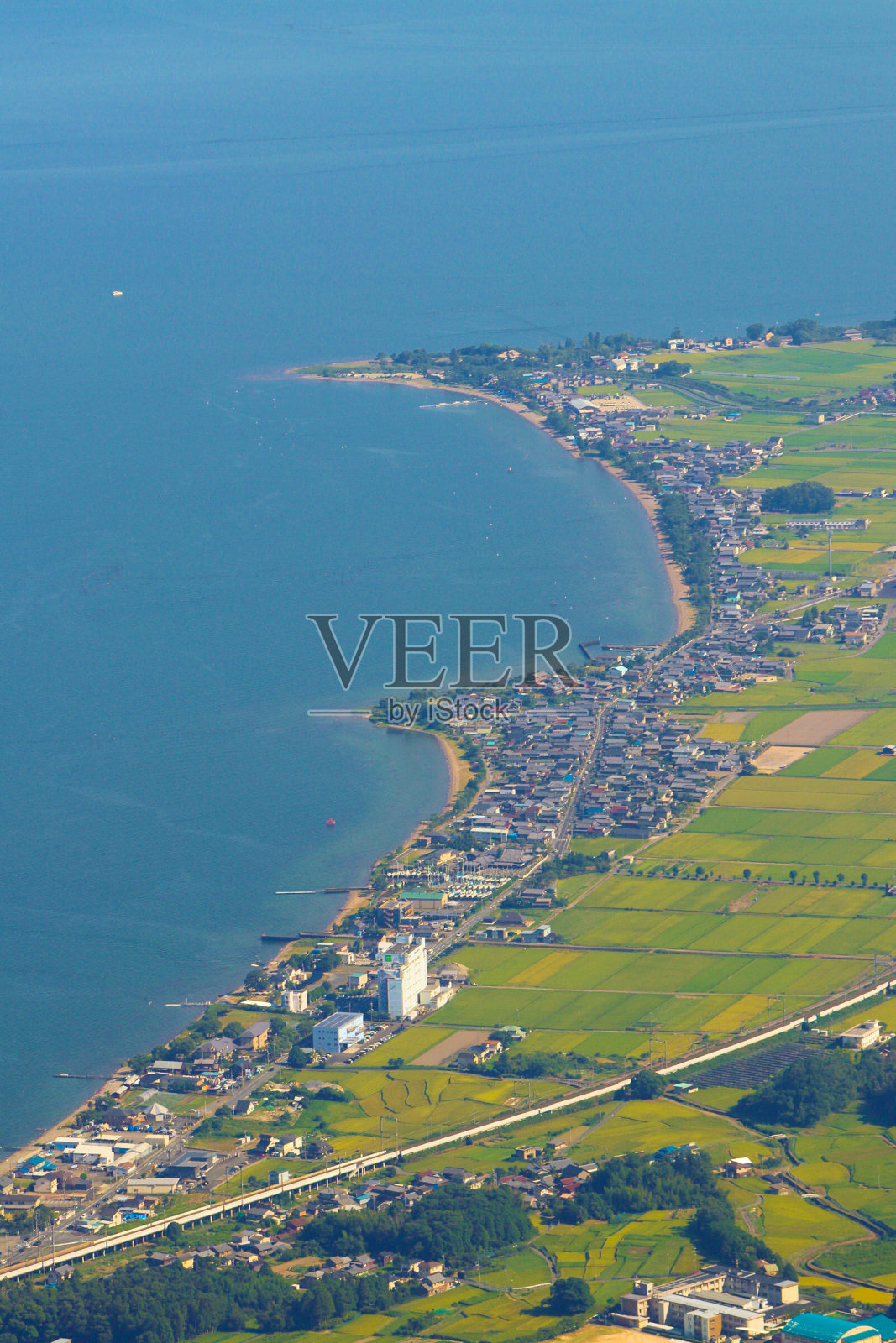 绿色的风景照片摄影图片