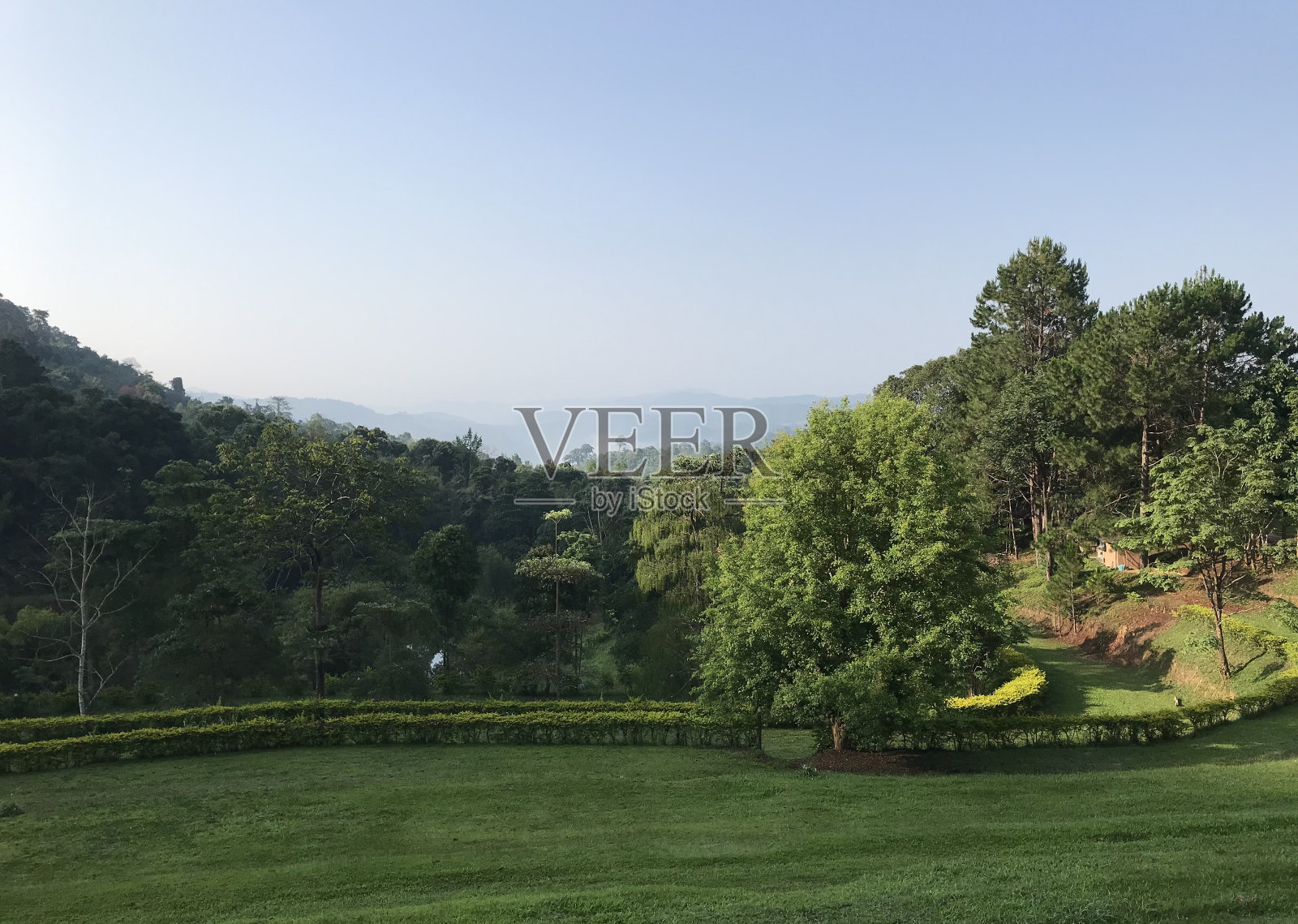 泰国北部乡村的自然风光。照片摄影图片