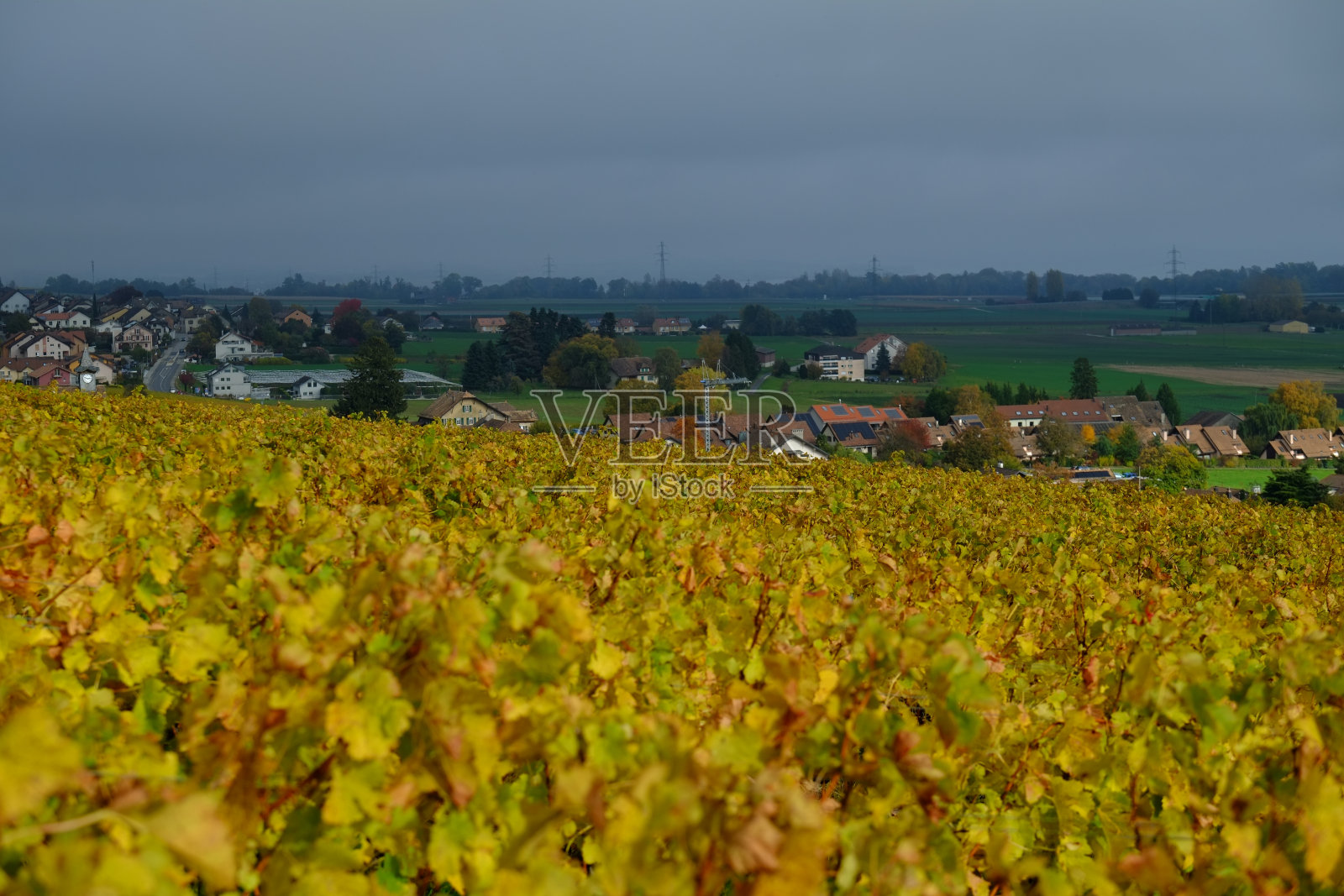 瑞士罗尔附近秋天的美丽颜色。照片摄影图片