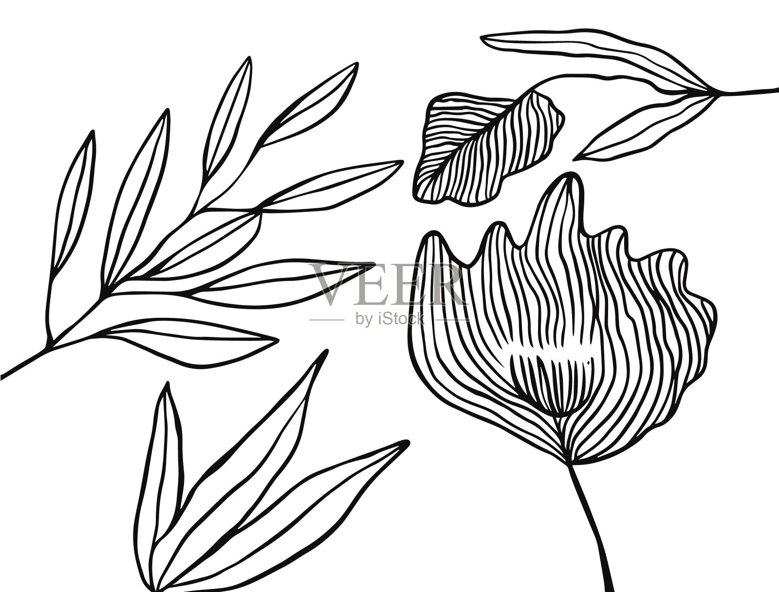 黑色图案或封面海报花叶。插画图片素材