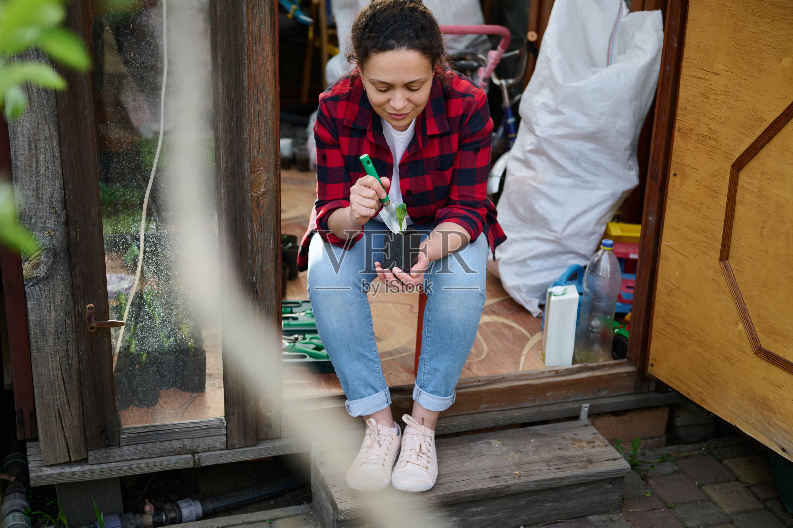 宁静的女园丁在温室中用铲子挖黑土,种植黄瓜苗,园艺照片摄影图片