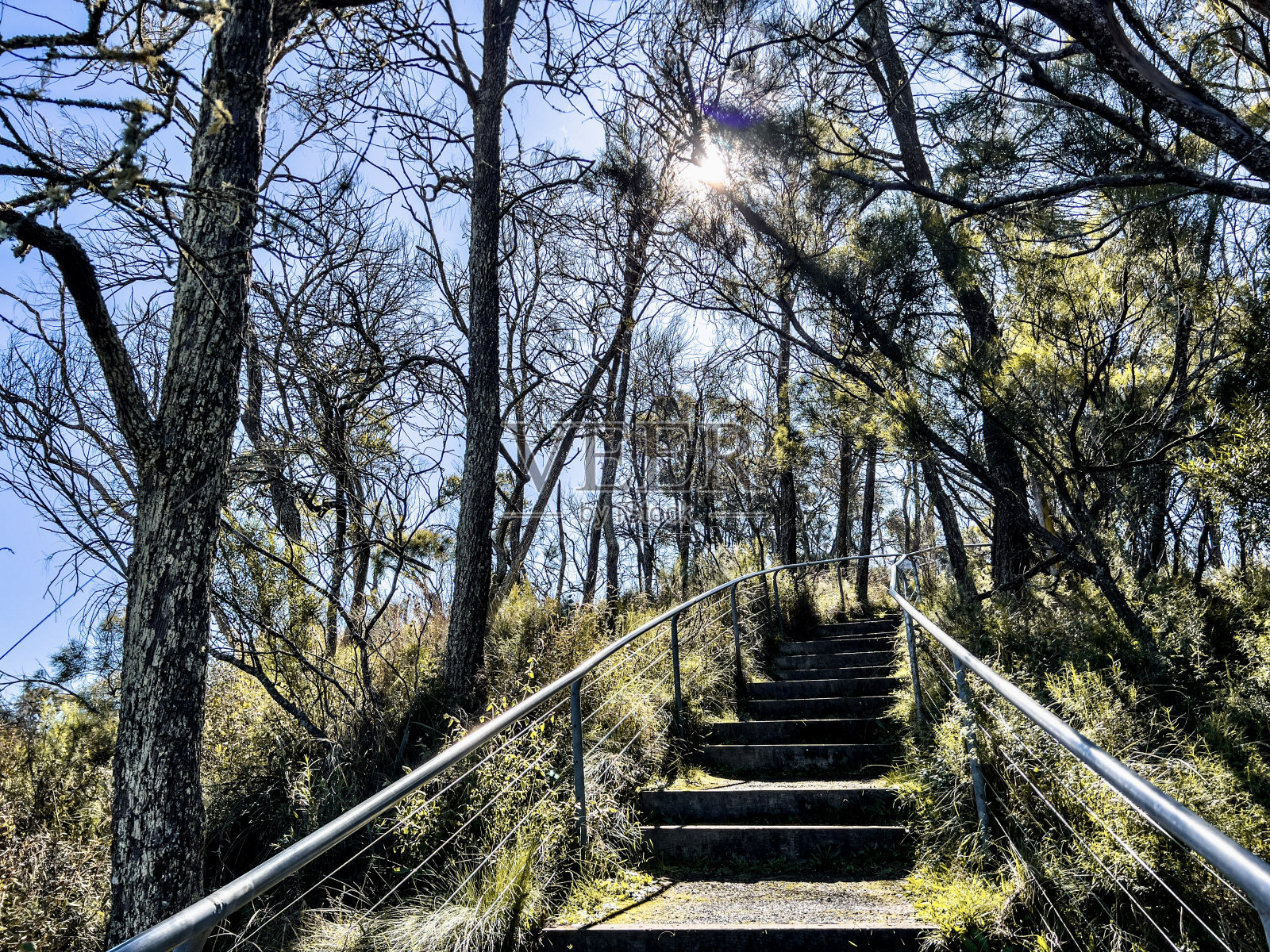 丹格尔峡谷步道照片摄影图片