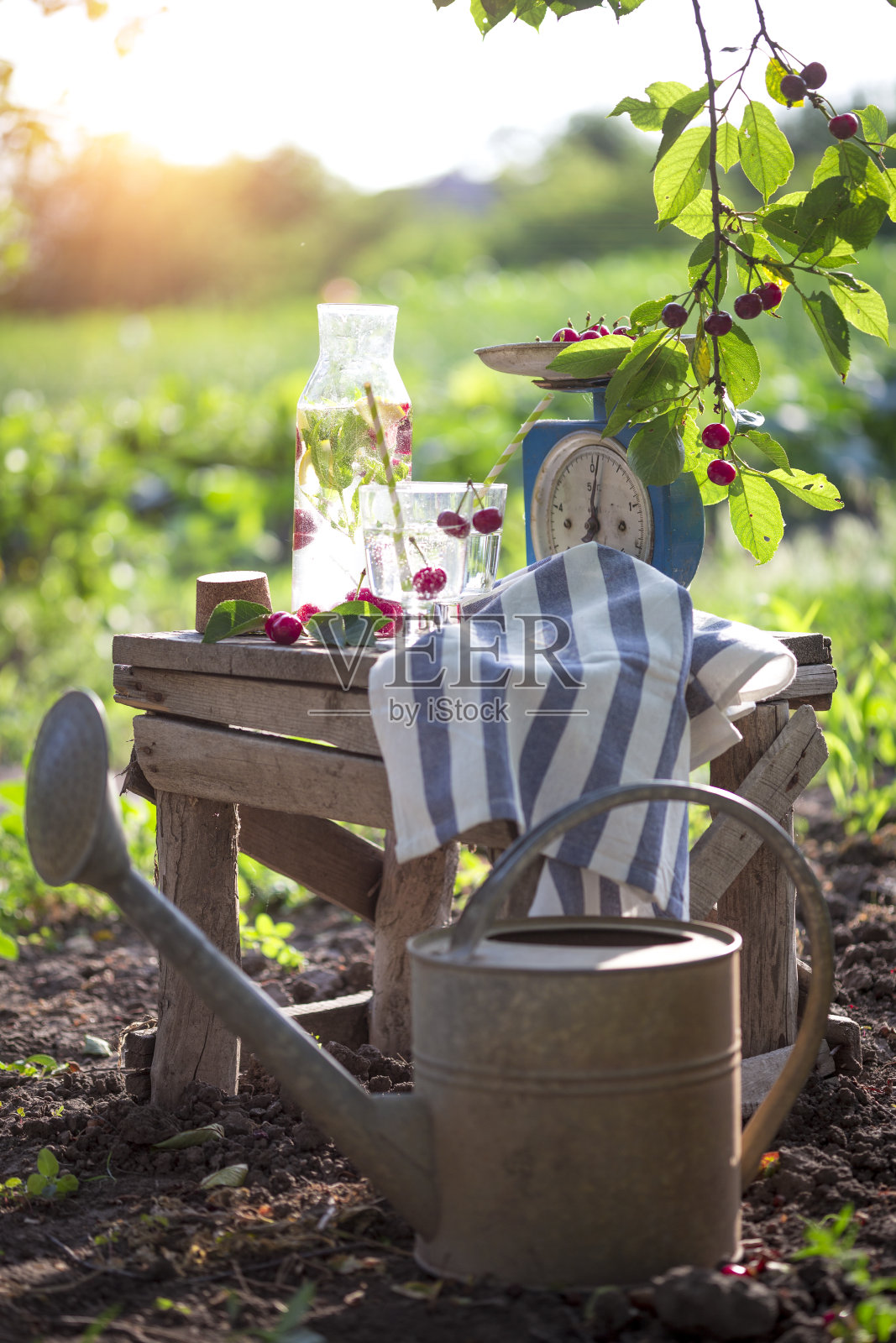 在花园的老式木椅上喝柠檬水照片摄影图片