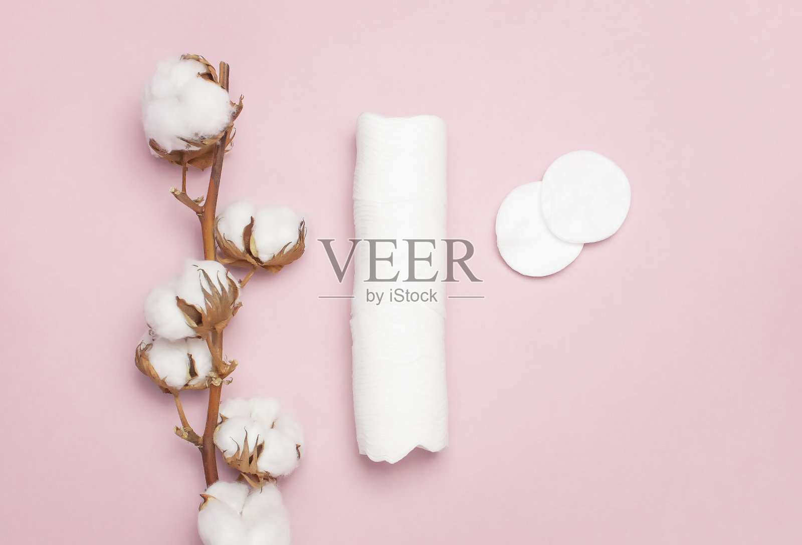 水疗中心的概念。棉花植株的分枝,棉垫平坦的层状背景。棉花化妆品卸妆卫生棉条。粉红色背景上的卫生棉签俯视图照片摄影图片