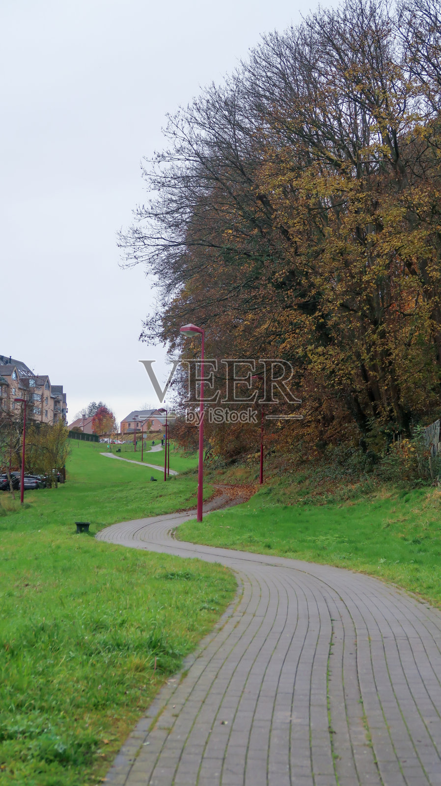 公园里蜿蜒的道路,灰色的天空。Ottignies、比利时照片摄影图片