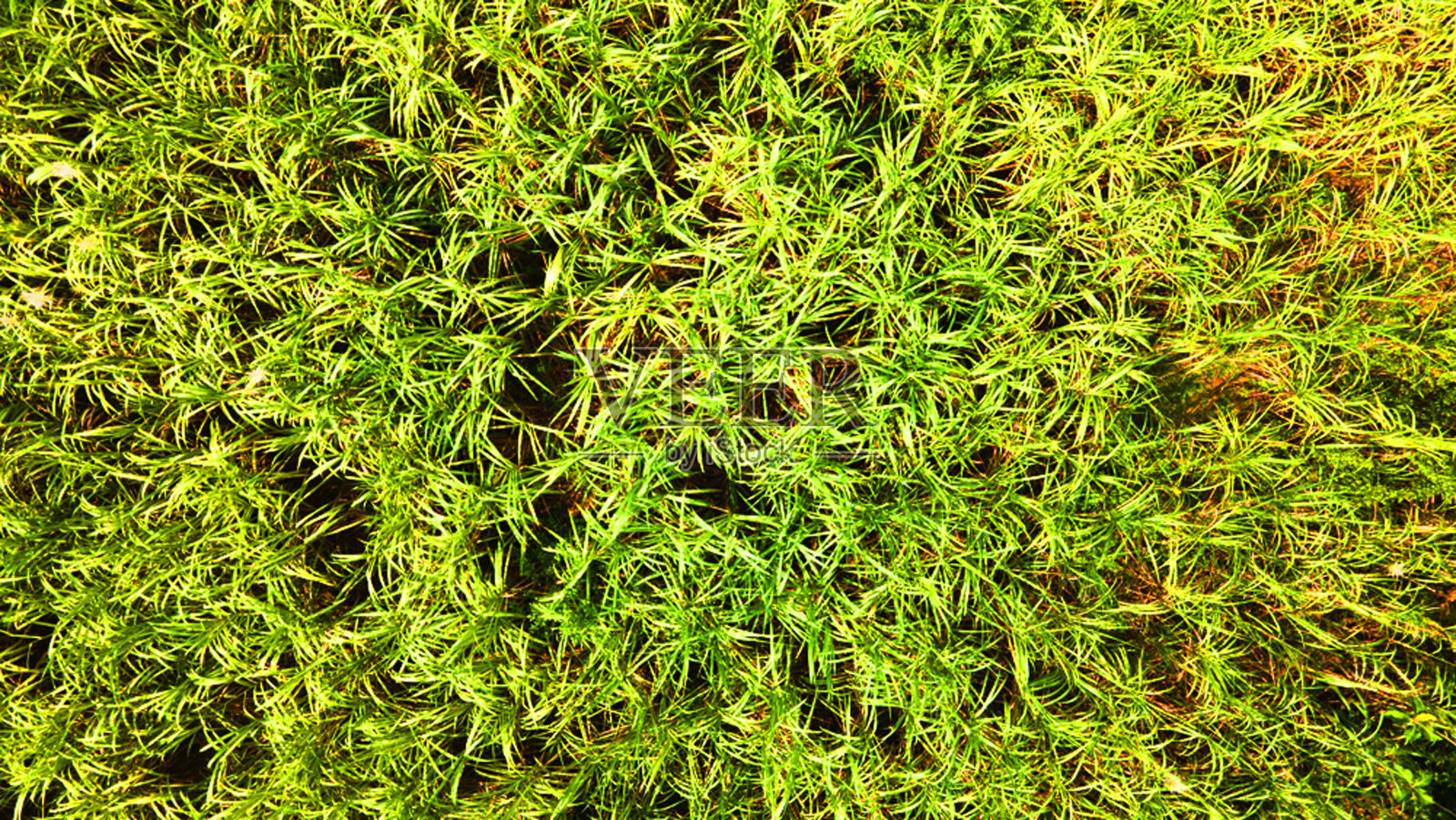 从上面俯瞰城市的夜景照片摄影图片