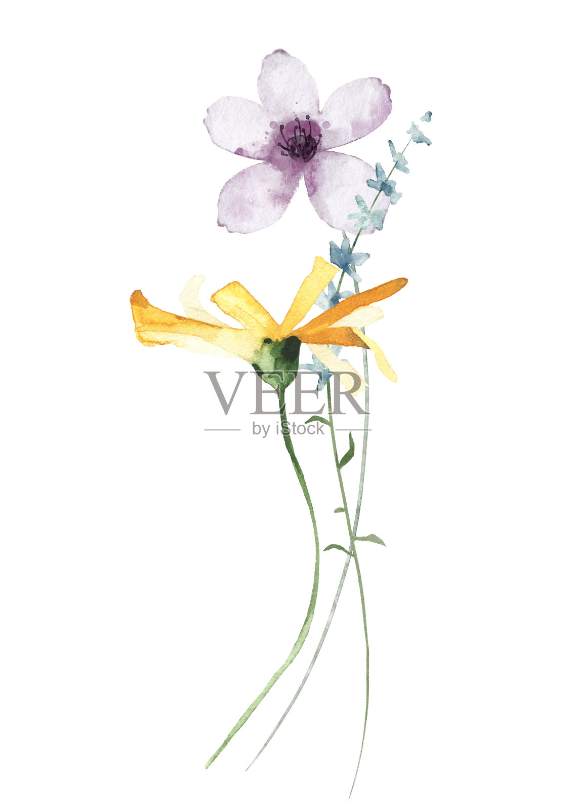 水彩花束与野花,细枝。紫罗兰,蓝色和黄色的花。手绘花卉插图插画图片素材